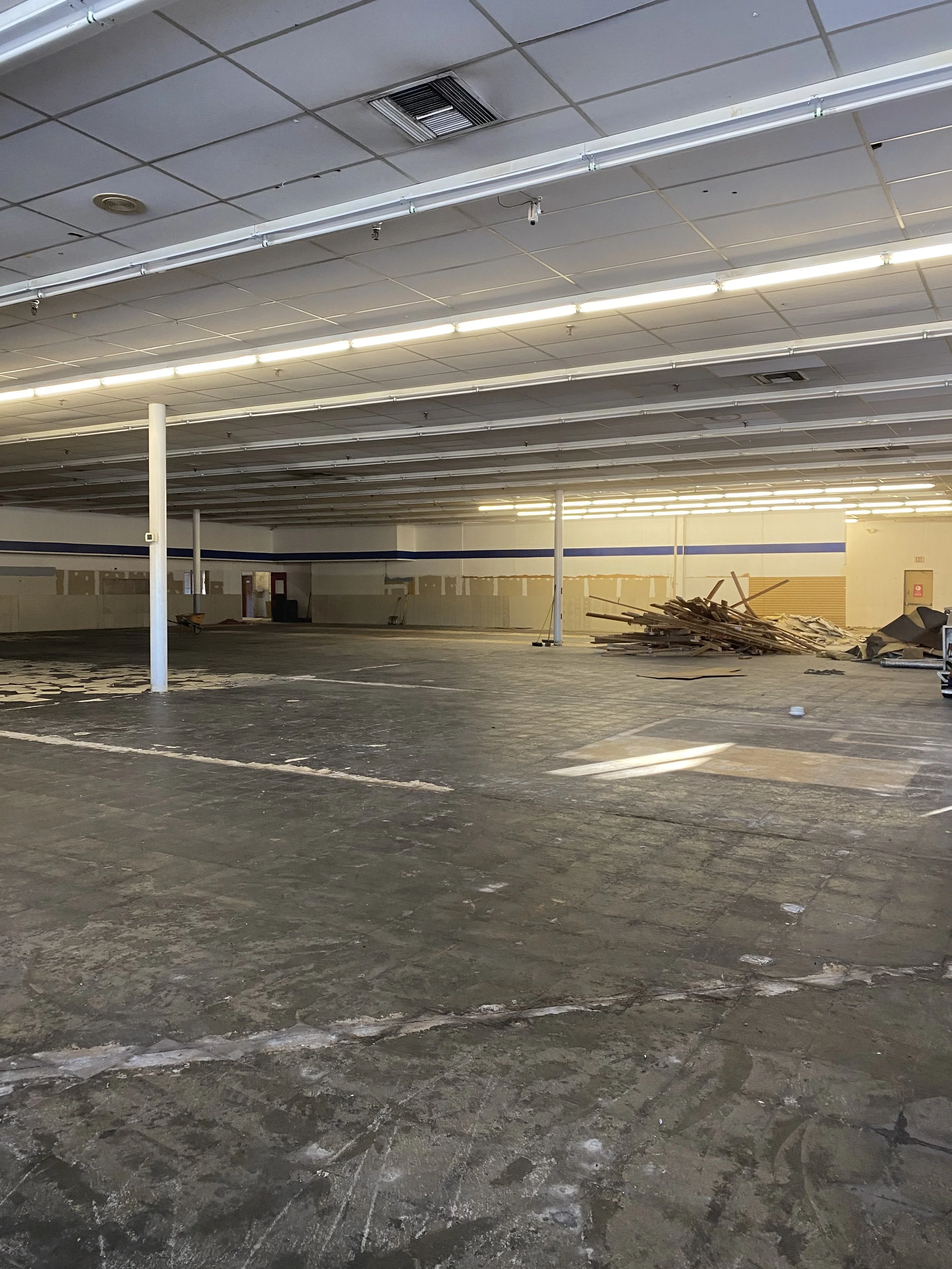 Demolition Services and Junk Removal