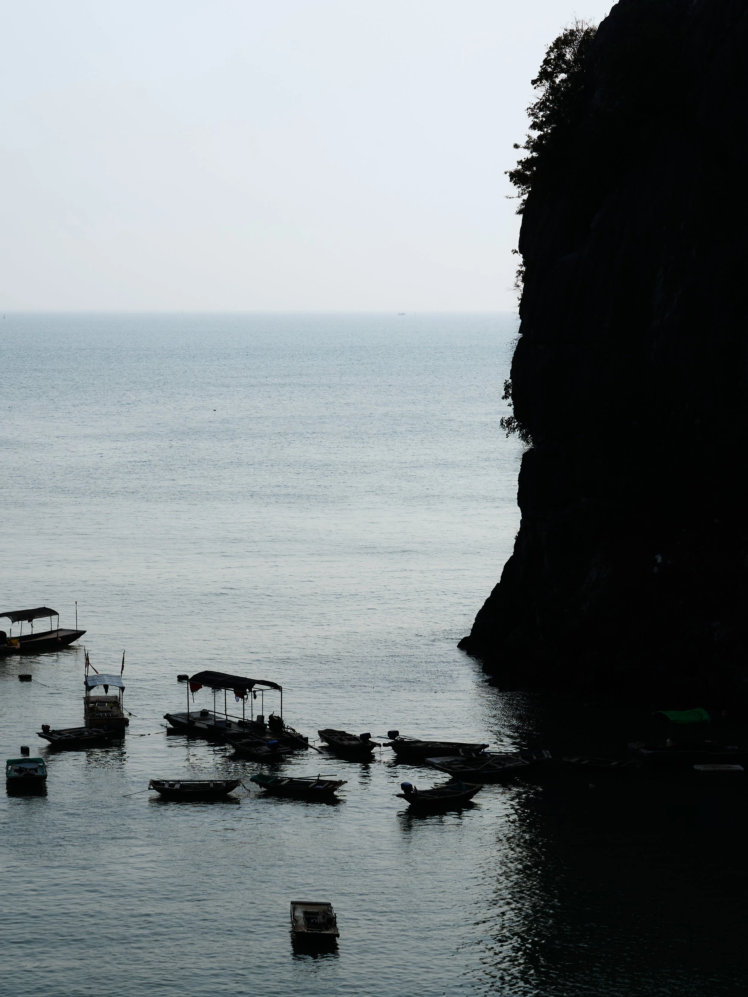 _DSC4960.jpg