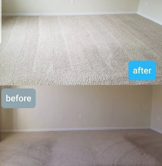 Carpet Cleaning