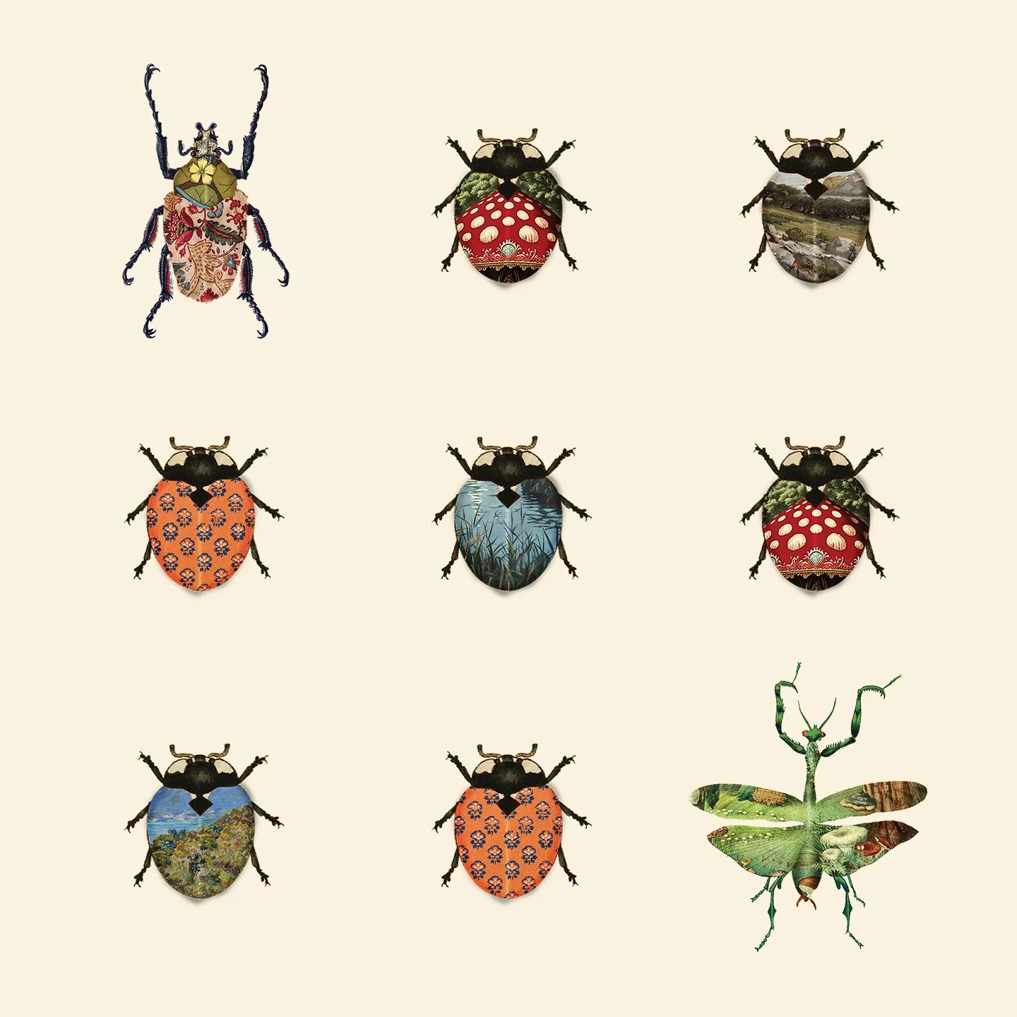 02-Insects.jpg