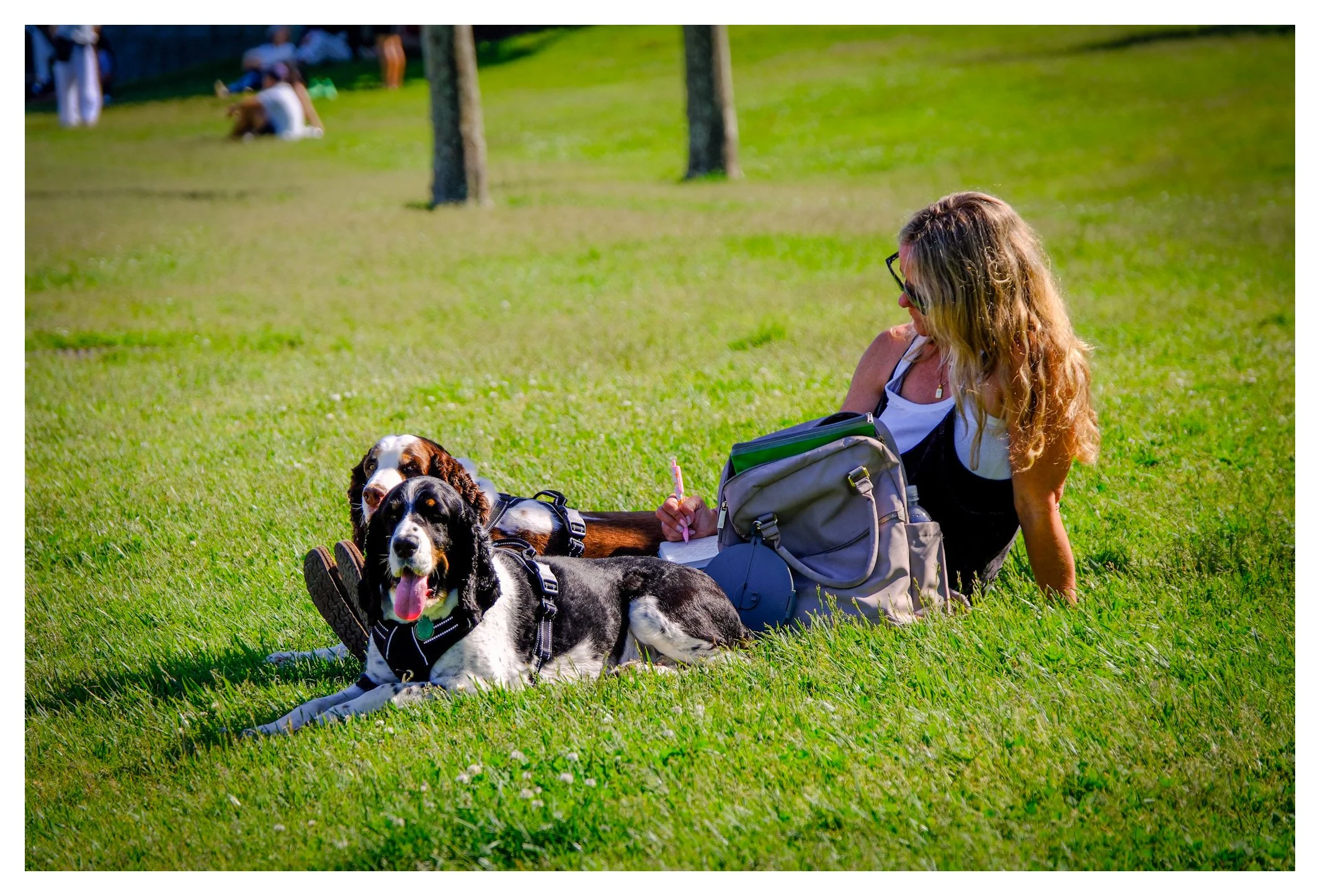 A notebook, two dogs, and a patch of green—sometimes the simplest moments become the most memorable. Toronto's parks offer a welcome escape from the pace of downtown life.