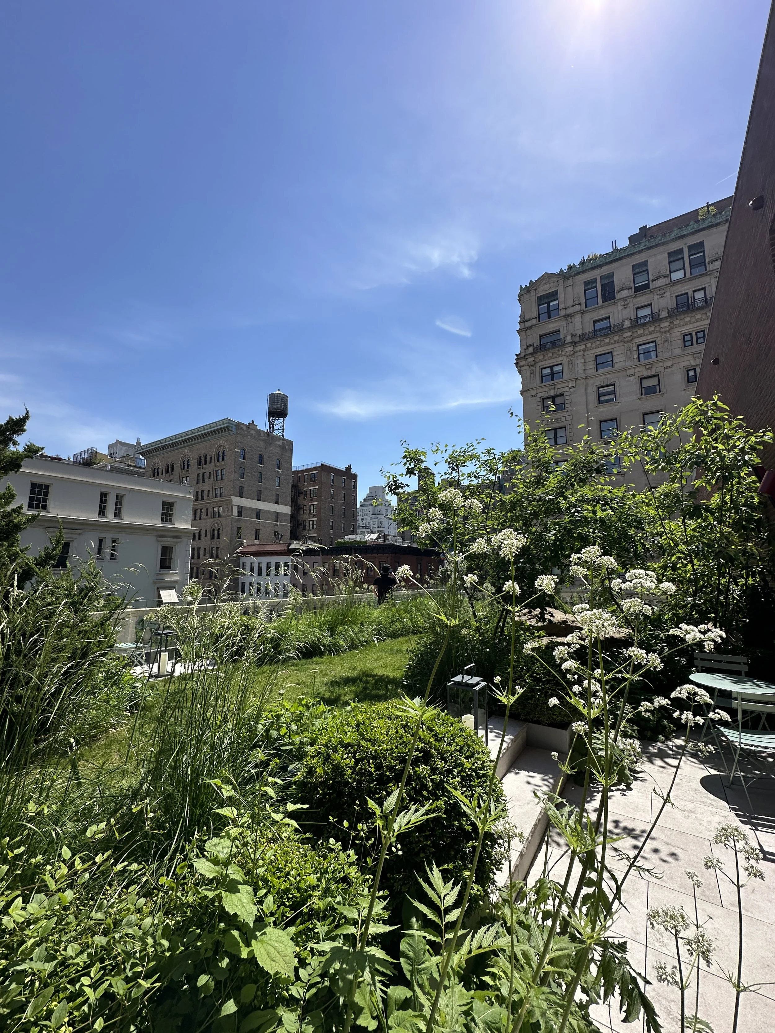 High Line transforms an old railway line into a unique urban park above the streets of Manhattan.
Walking along the High Line offers changing perspectives—between architecture, greenery, and city life below.
It’s a place where New York feels creative
