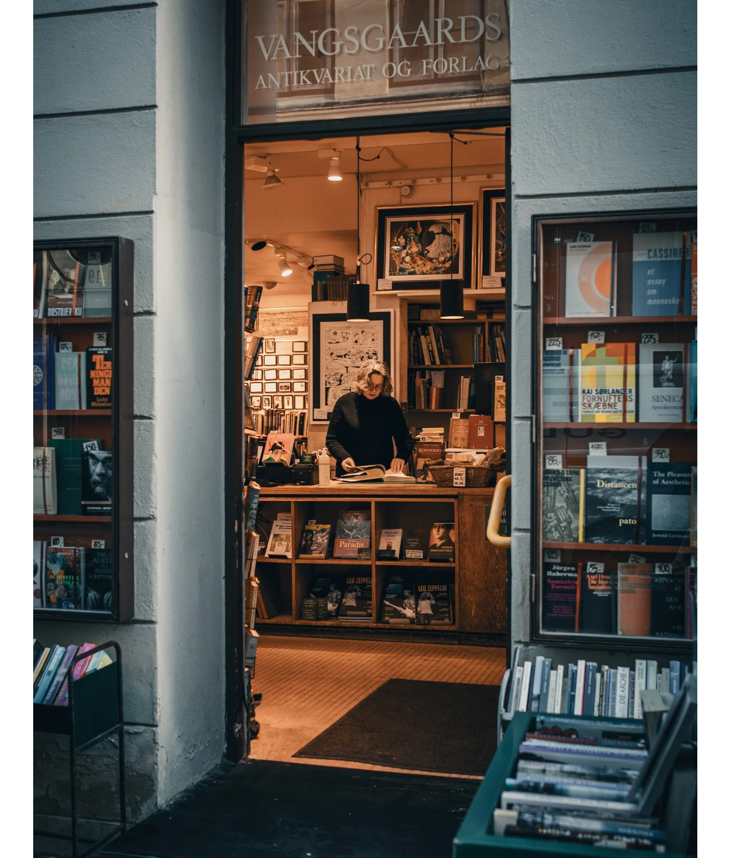 A woman stands in a small bookstore, slowly running her fingers along the shelves as she searches for the next story to take home. The room smells like paper and coffee, and soft light falls across the stacks of books. It feels calm, thoughtful, and 