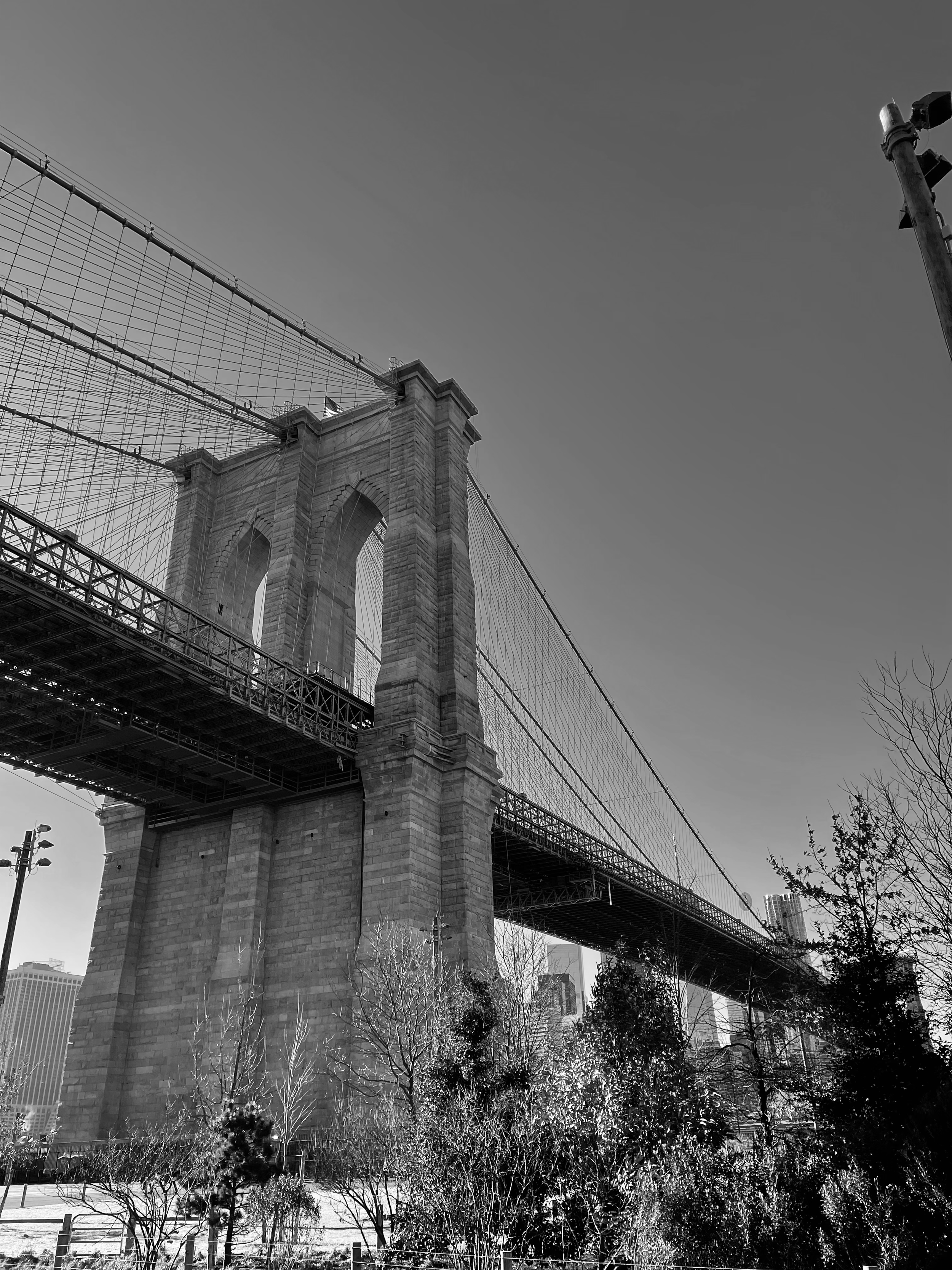 Lined with iconic architecture, flagship stores, and constant movement, it captures the city’s ambition.
Walking along Fifth Avenue feels like experiencing New York in its purest form.