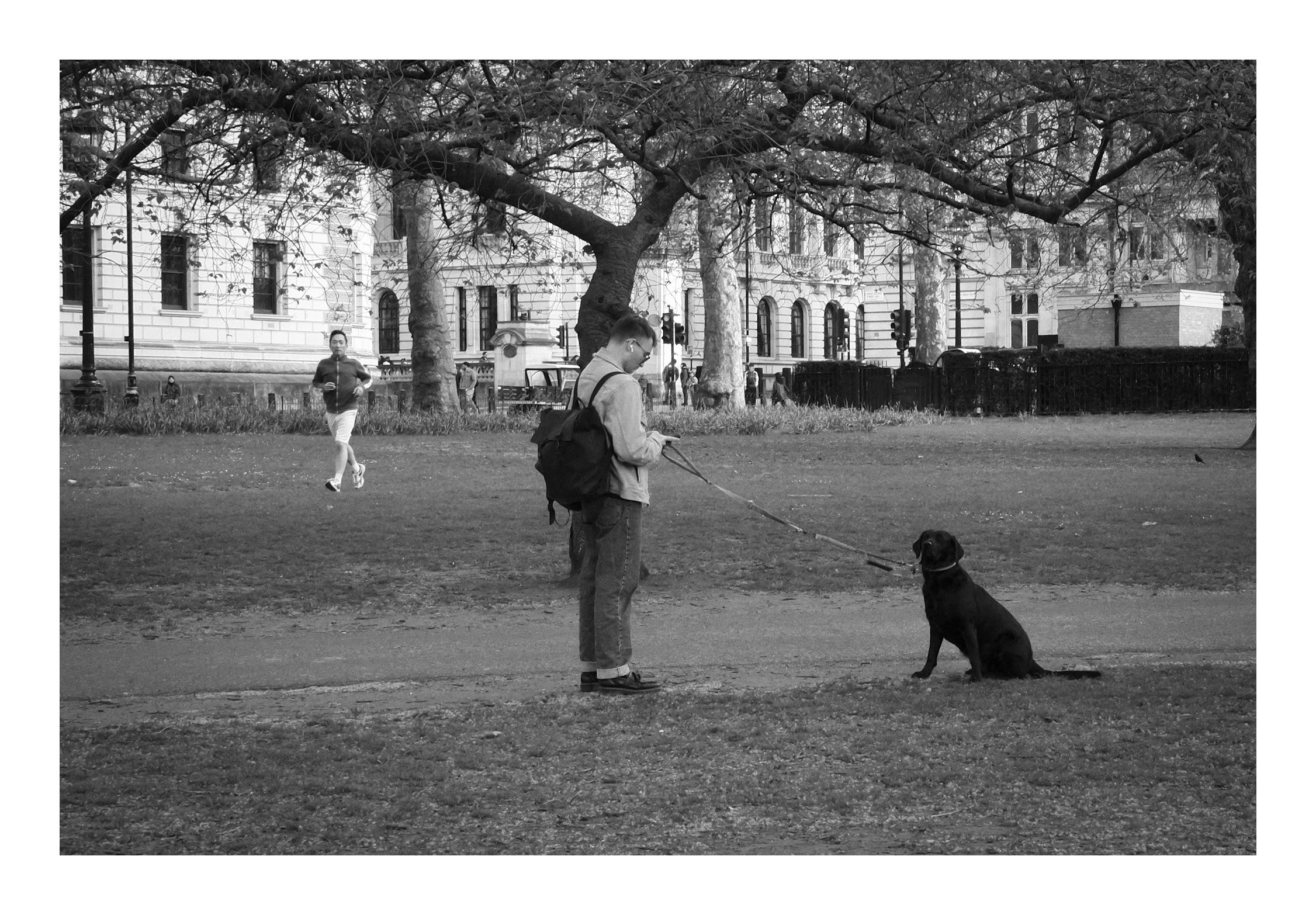 A man walking his dog through the park—a quiet, everyday moment of companionship set against the calm of nature.