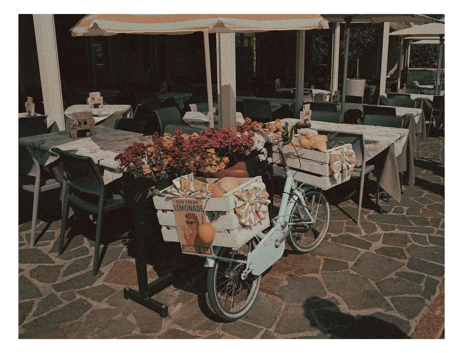 A bicycle decorated with flowers feels light, calm, and full of life.
Soft colors and natural details turn an everyday object into a quiet visual moment.
It’s a scene that captures simplicity, warmth, and a sense of slow living.