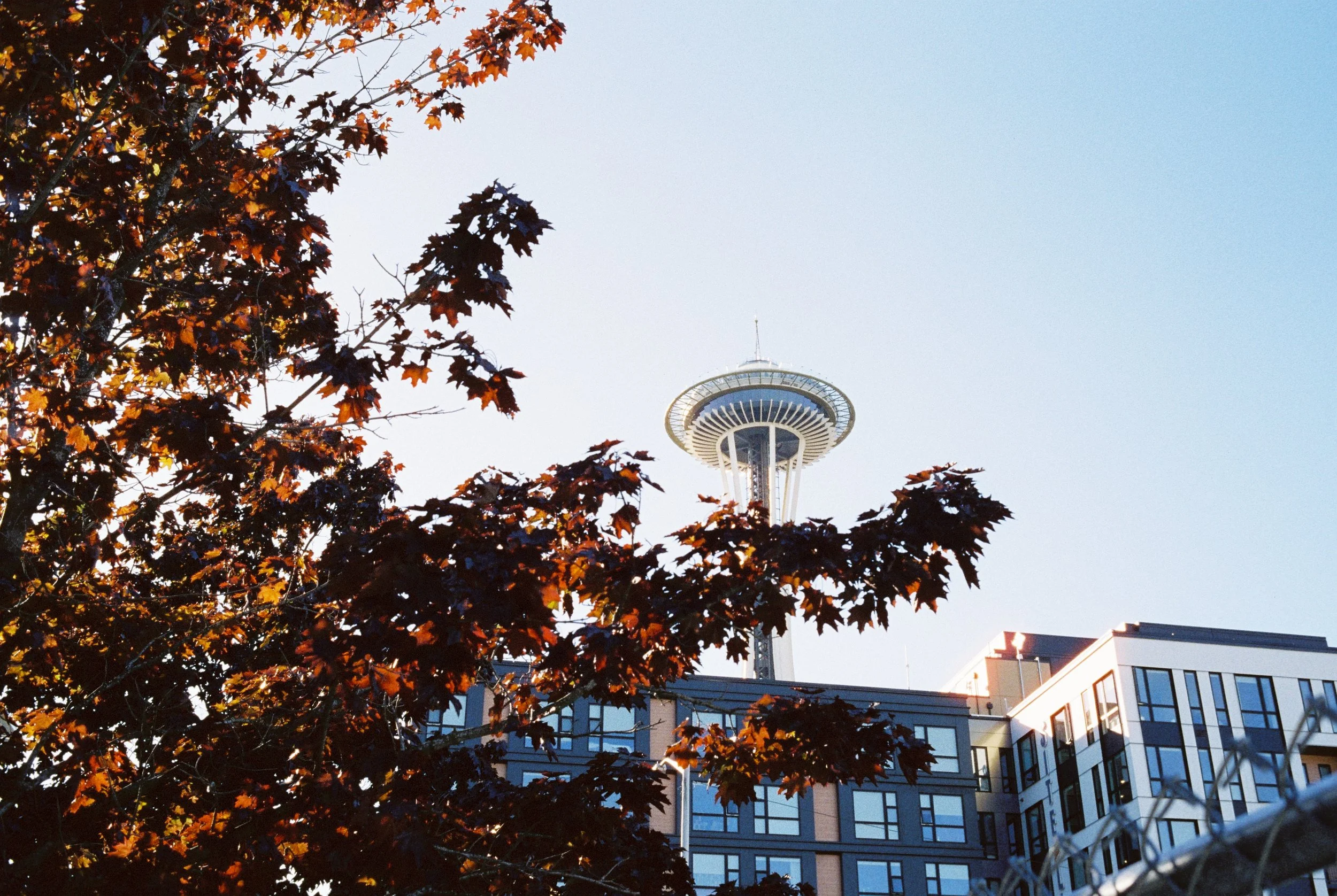 The Space Needle rises above Seattle as its most iconic landmark.
A symbol of innovation and vision, it offers breathtaking views over the city, the water, and the surrounding mountains.