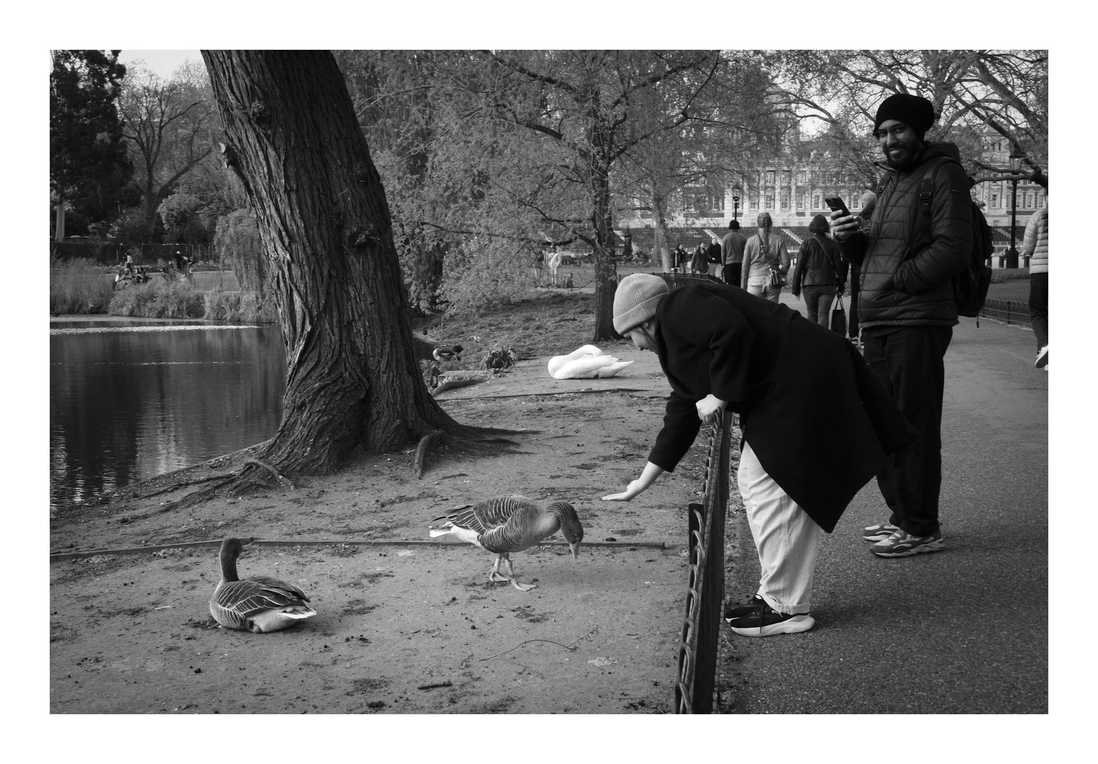 A woman feeding a duck in the park—a gentle, peaceful moment where nature and city life quietly meet.
