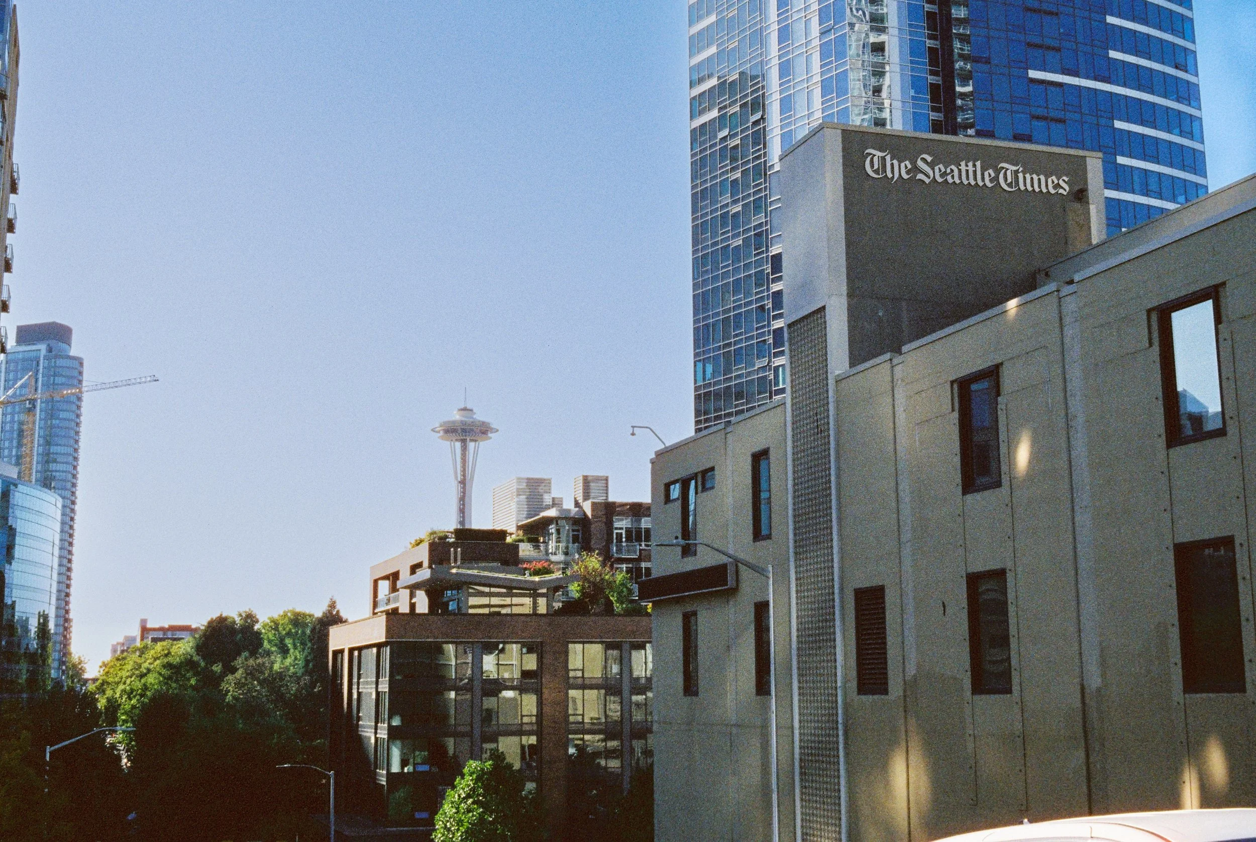 Framed by leafy streets and soft summer light, the Space Needle rises quietly above the city, almost hidden rather than dominating the skyline. The scene feels calm and everyday, where iconic architecture blends naturally into Seattle’s neighborhood 