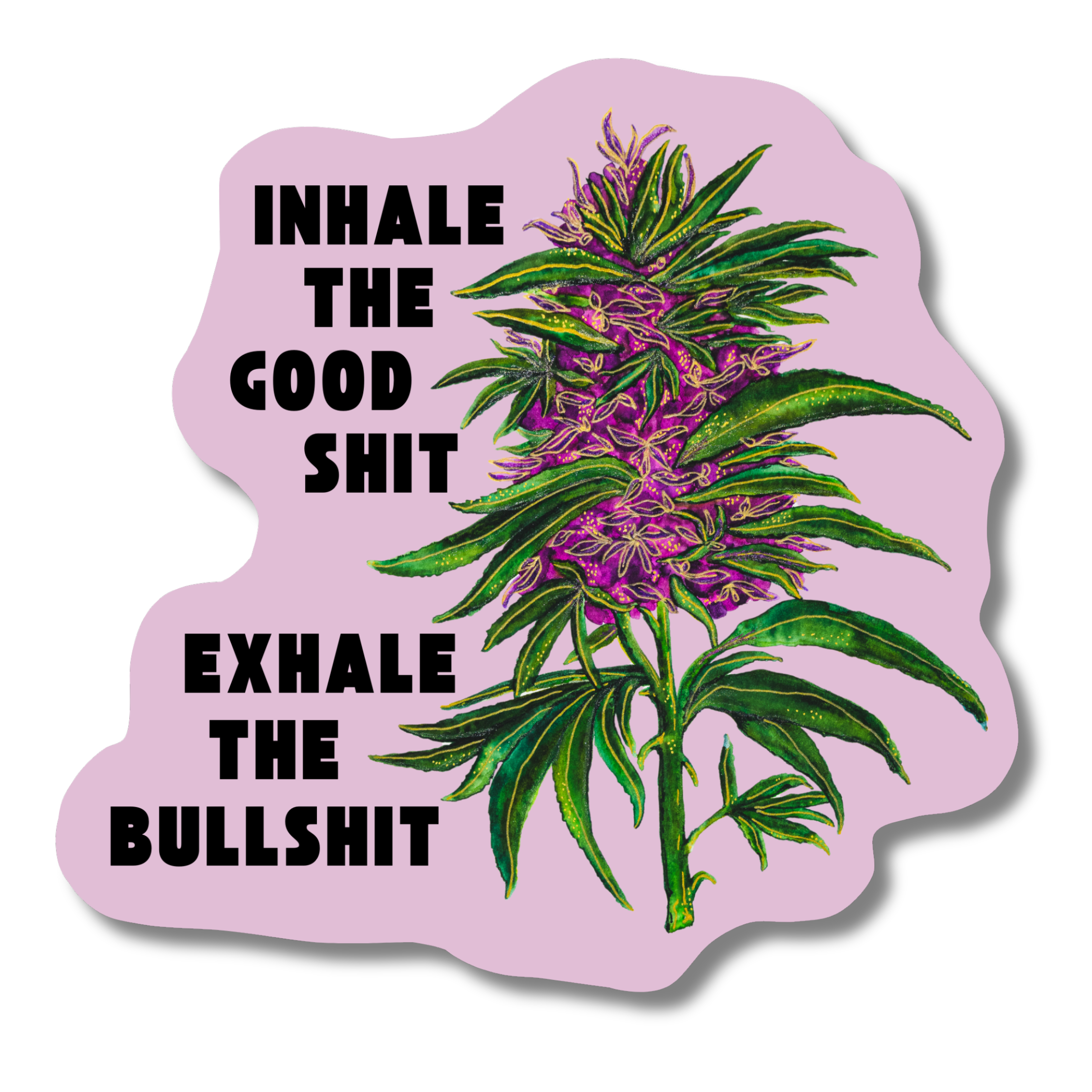 24.png