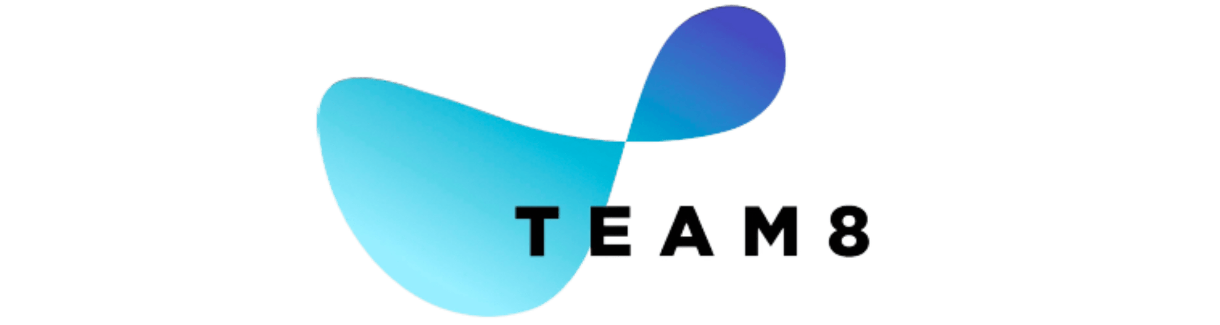 Logo of Team 8 with a stylised blue and purple abstract shape and the text "TEAM 8" underneath.