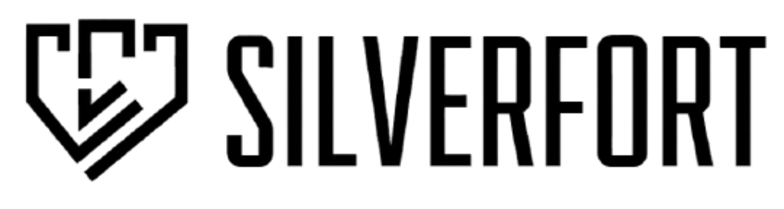 Silverfort logo displayed in large, bold letters.