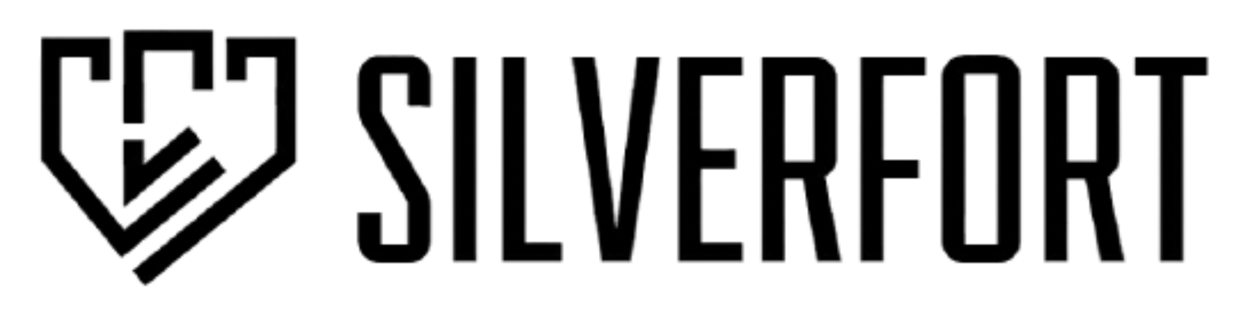 Silverfort logo