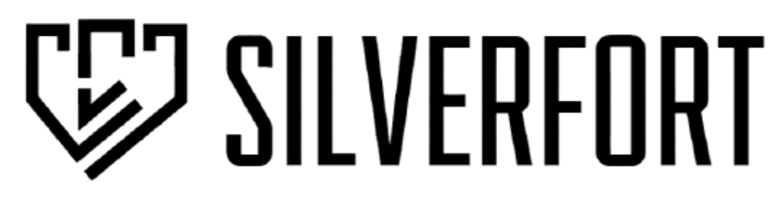 Silverfort logo displayed in large, bold letters.