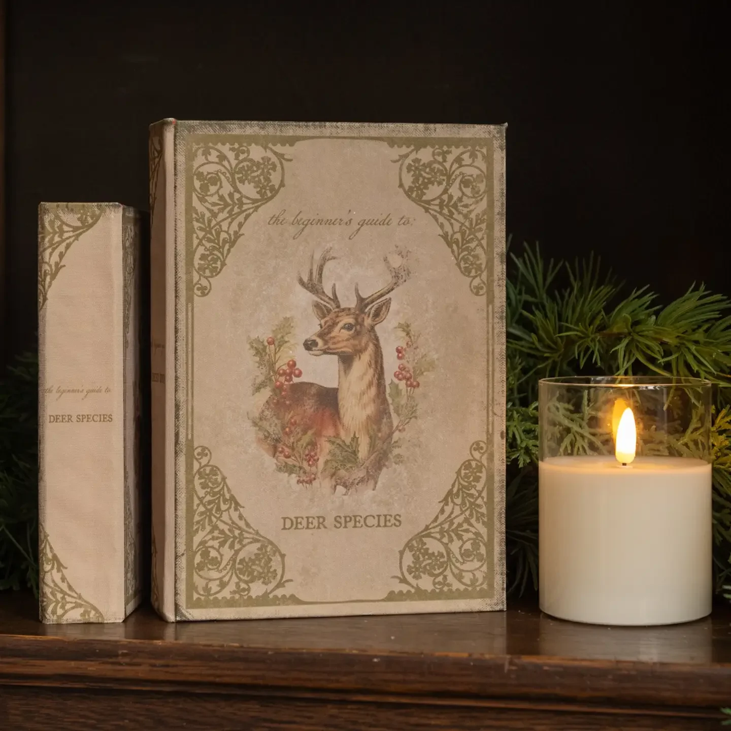 8.5" the Beginner's Guide To Deer Species Journal