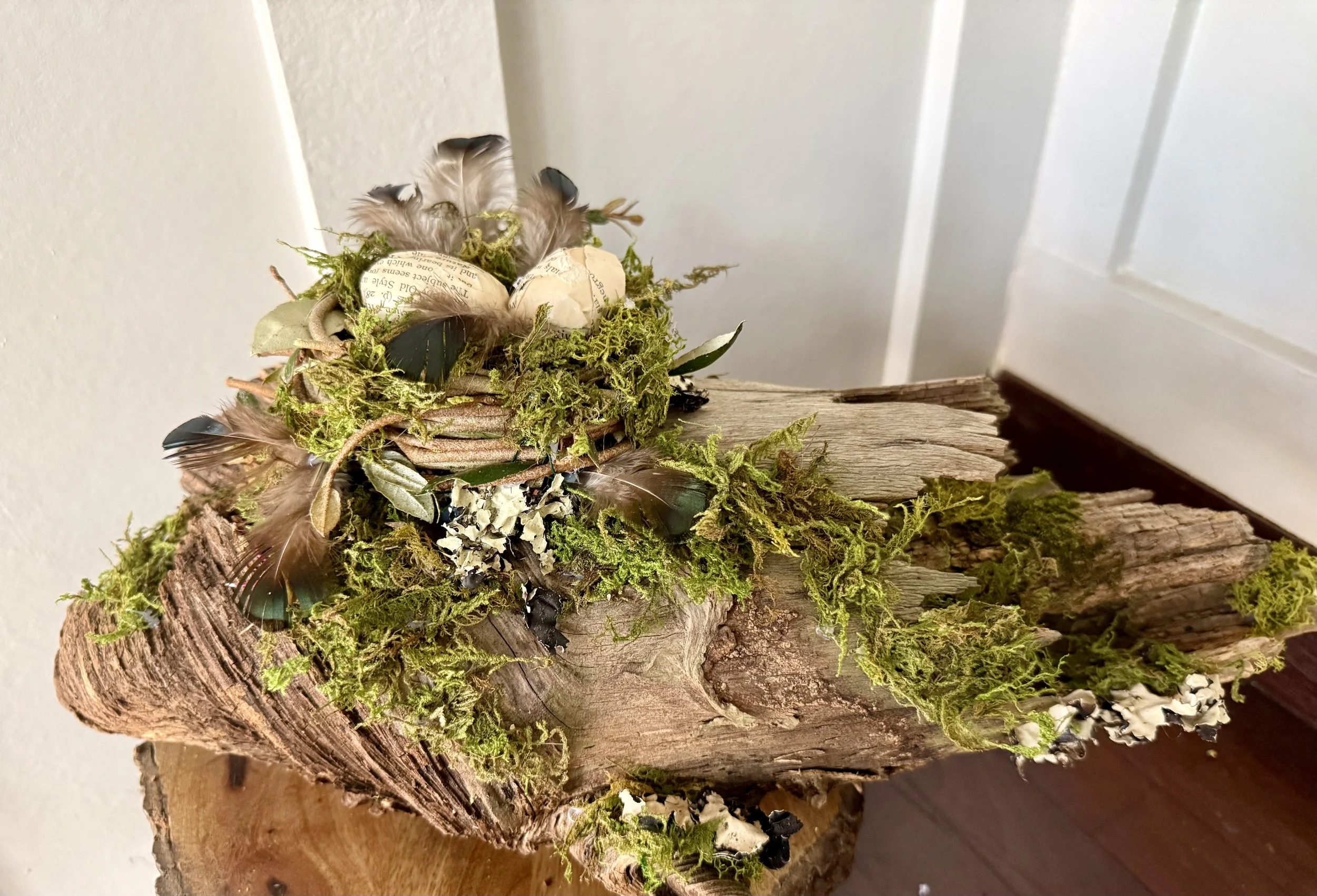 Woodlands spring nest