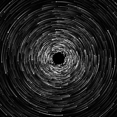 KEPLER COLLEGE:<br><br> Circumambulations & Primary Directions