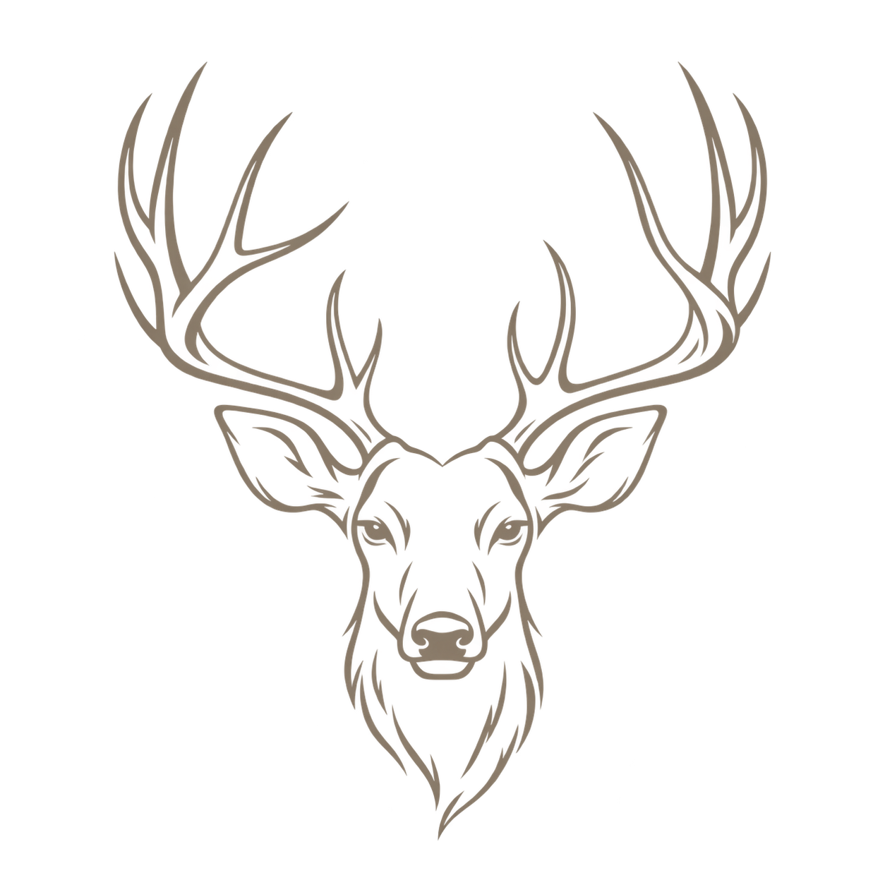 Outline drawing of a deer head with large antlers on a black background.