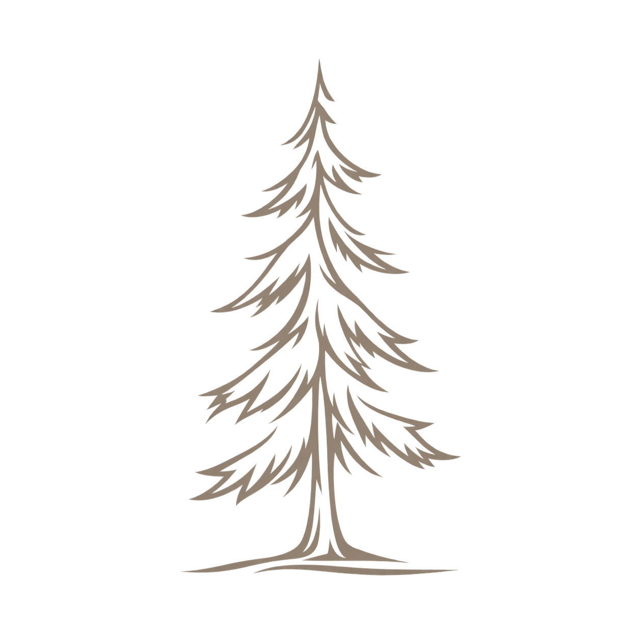 Illustration of a tall, slender pine tree with sparse, elongated branches.