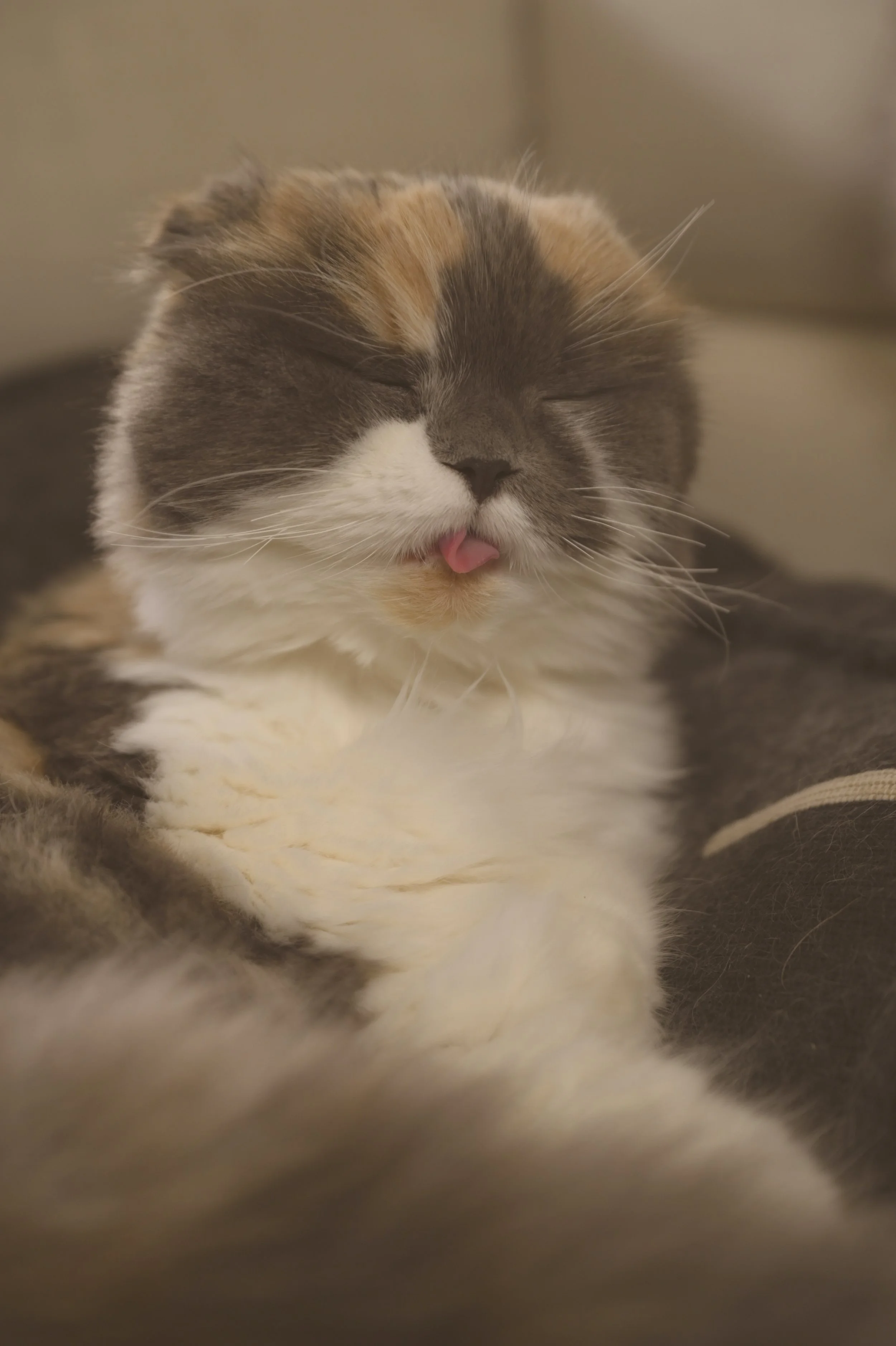 The Kindness of Colorado