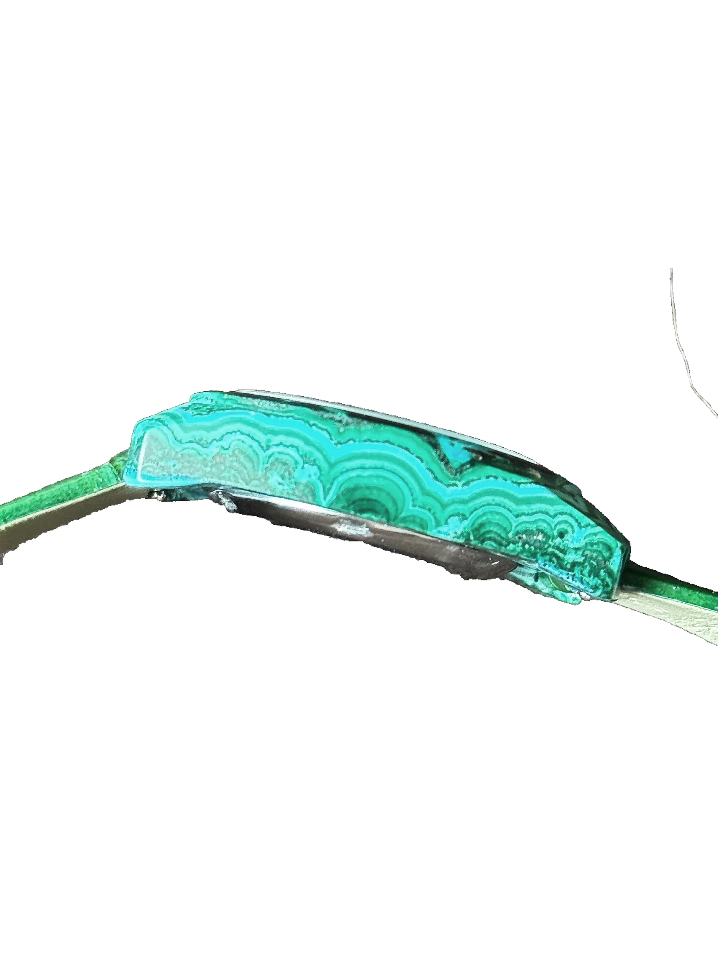 C4F99E55-DD45-4A14-9D2C-6DE57A31083E.png