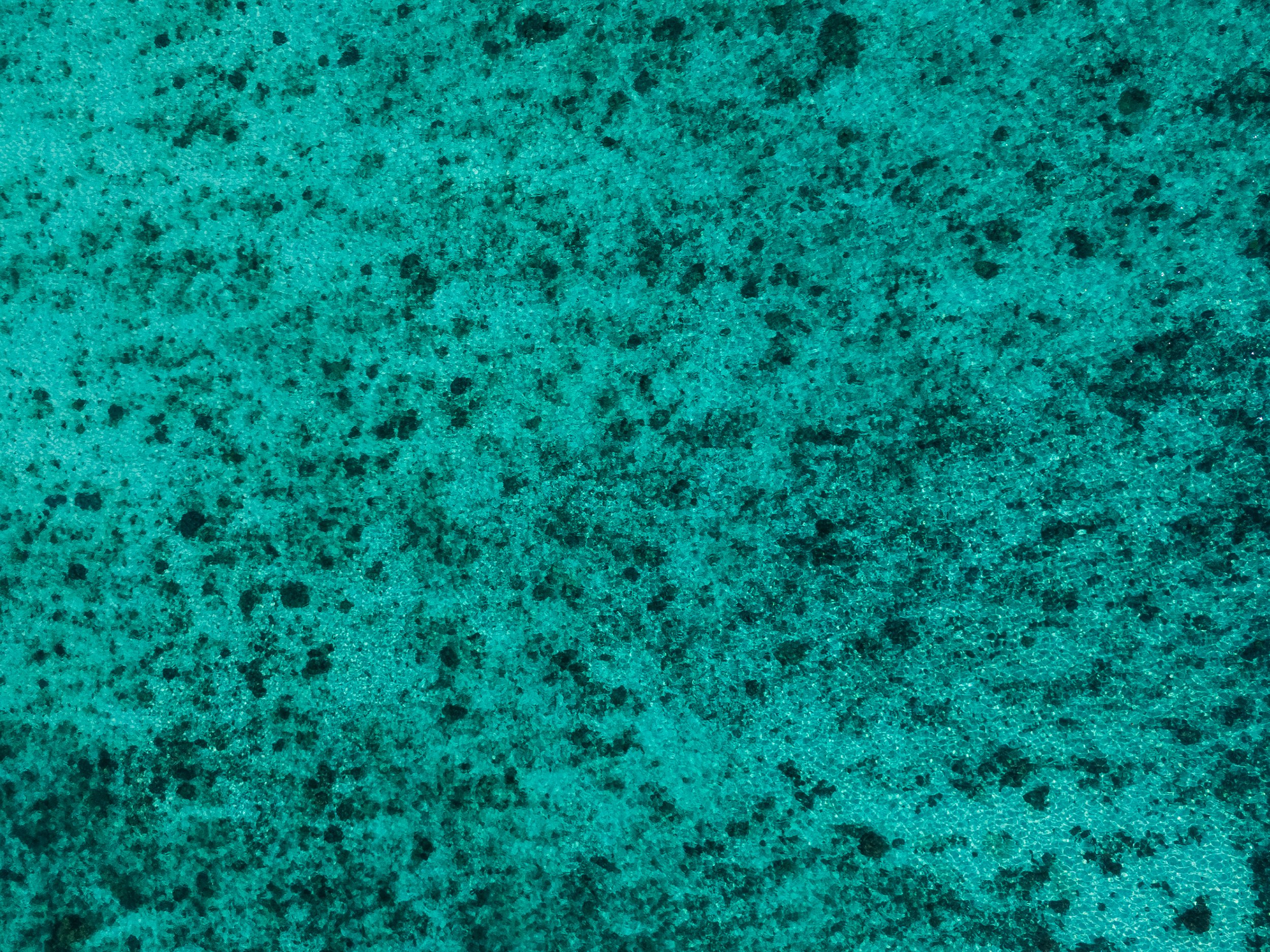 Close-up of a textured turquoise surface with small black speckles.