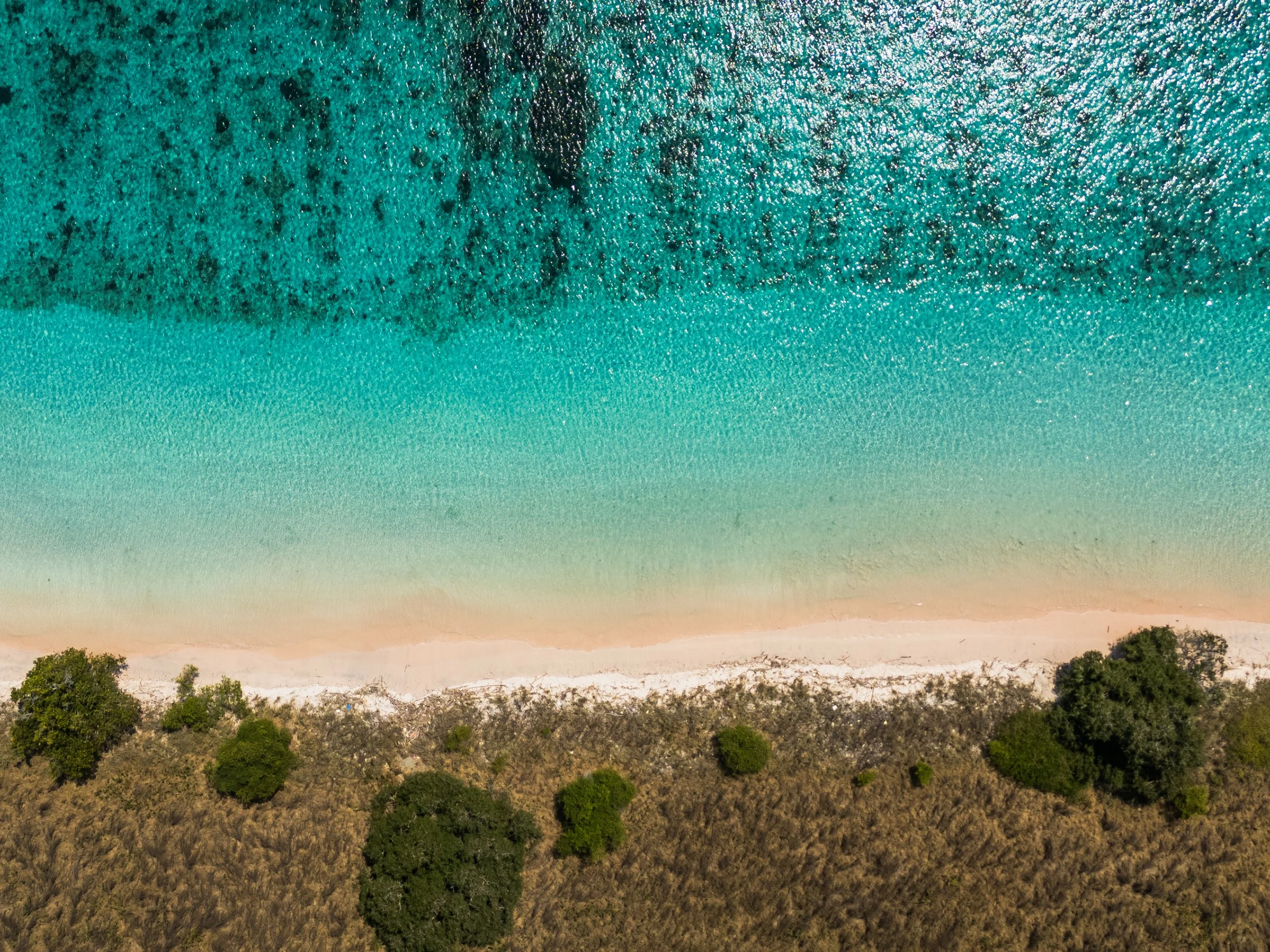 Aerial view of a sandy beach with sparse green trees and shrubs, adjacent to clear turquoise water.
