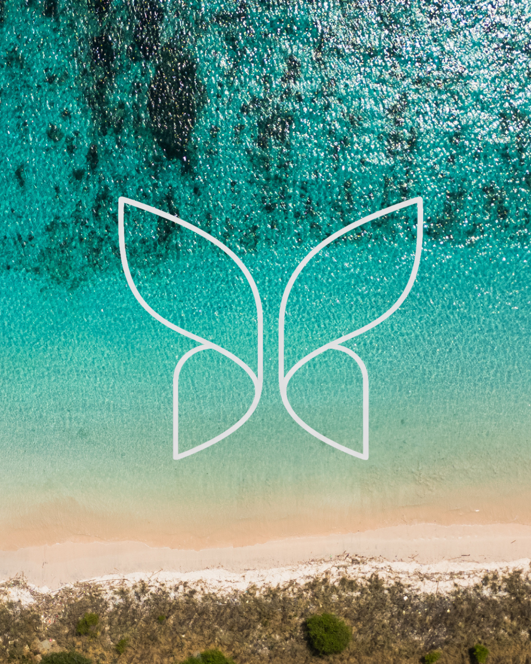 aerial view of a beach with turquoise water and white sand, with a decorative white line drawing of a butterfly overlaid on top