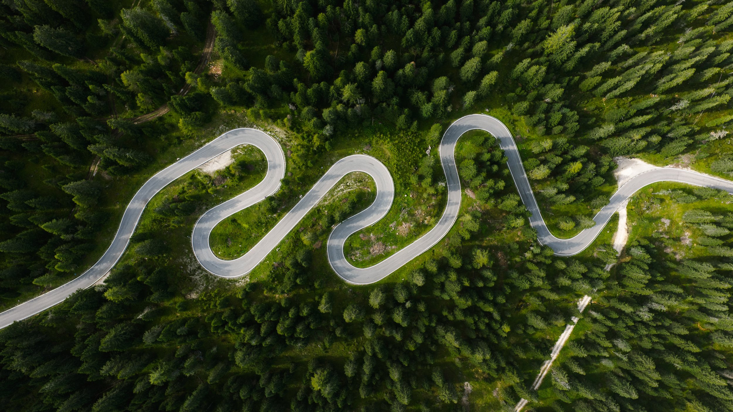 An aerial view of a winding mountain road surrounded by a dense forest of tall green trees.