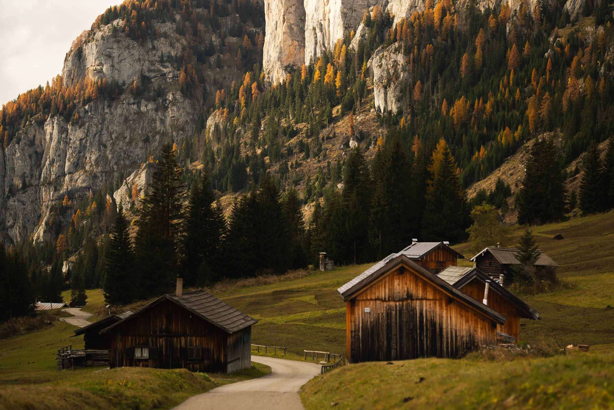 Small wooden houses in a grassy area with a winding dirt path, surrounded by trees and mountains with autumn-colored foliage.