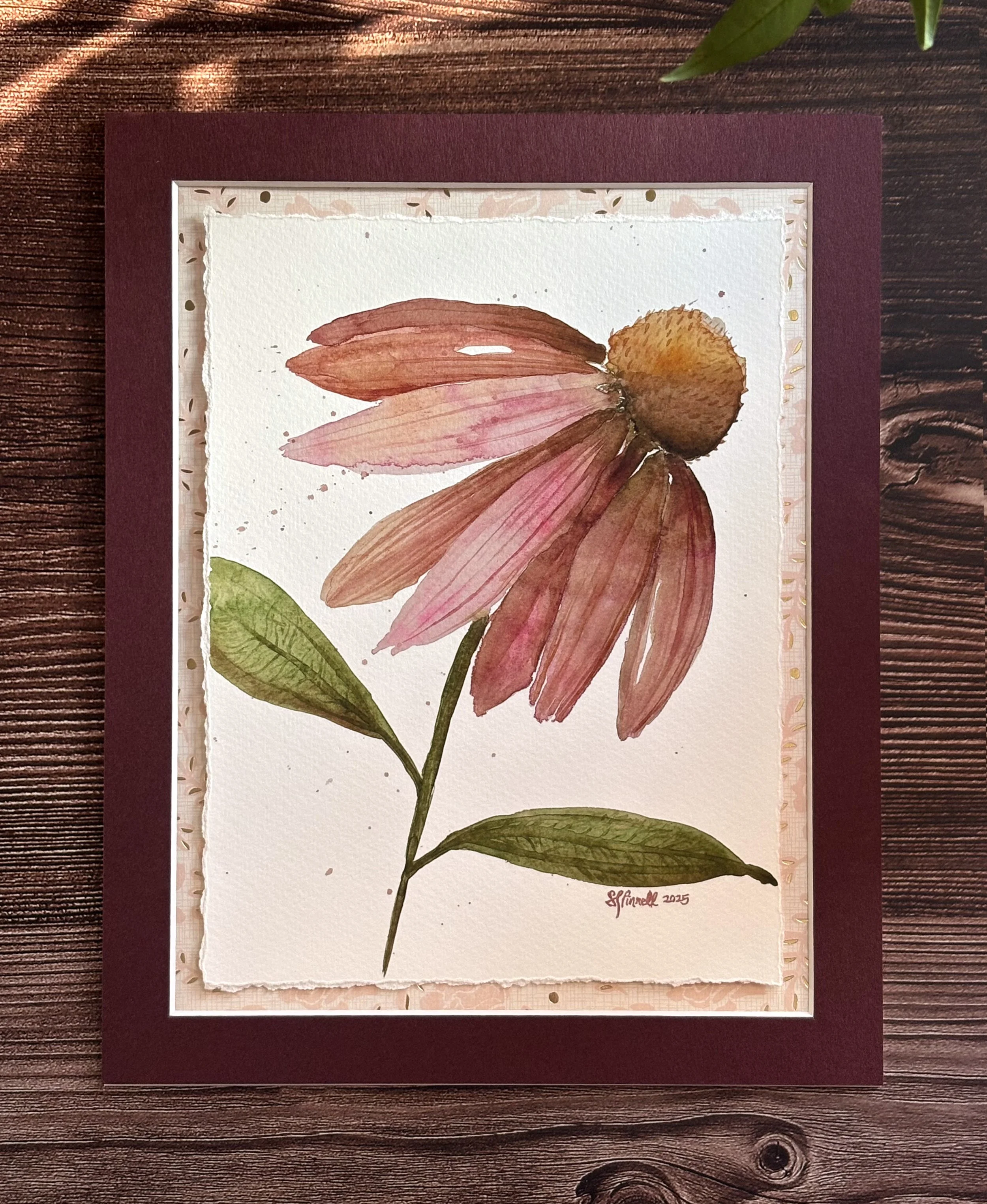 Coneflower in Watercolor