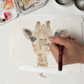 37B9D71F-E741-4730-9B0A-8A0831E4E158.gif
