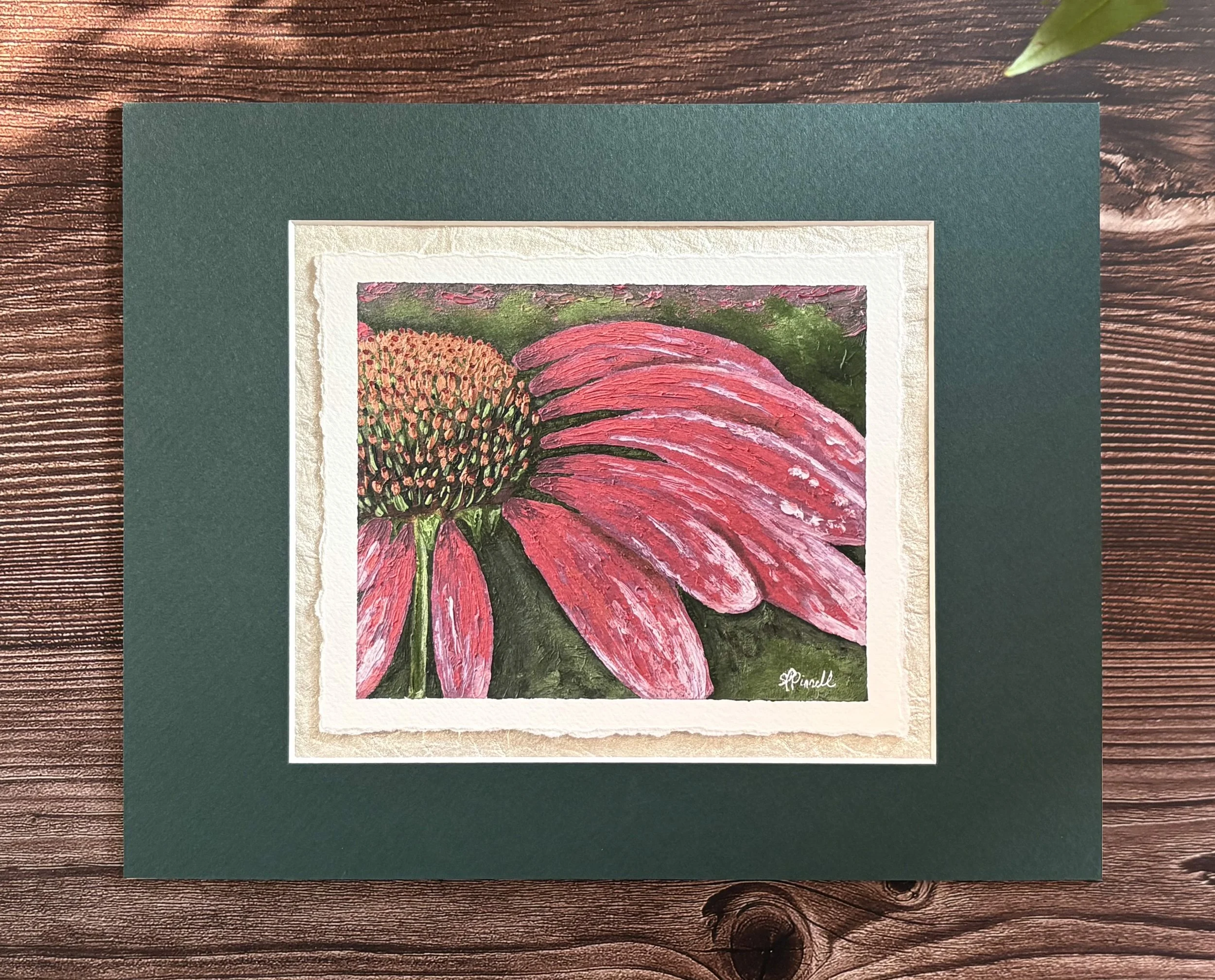 coneflower-oil1.jpg
