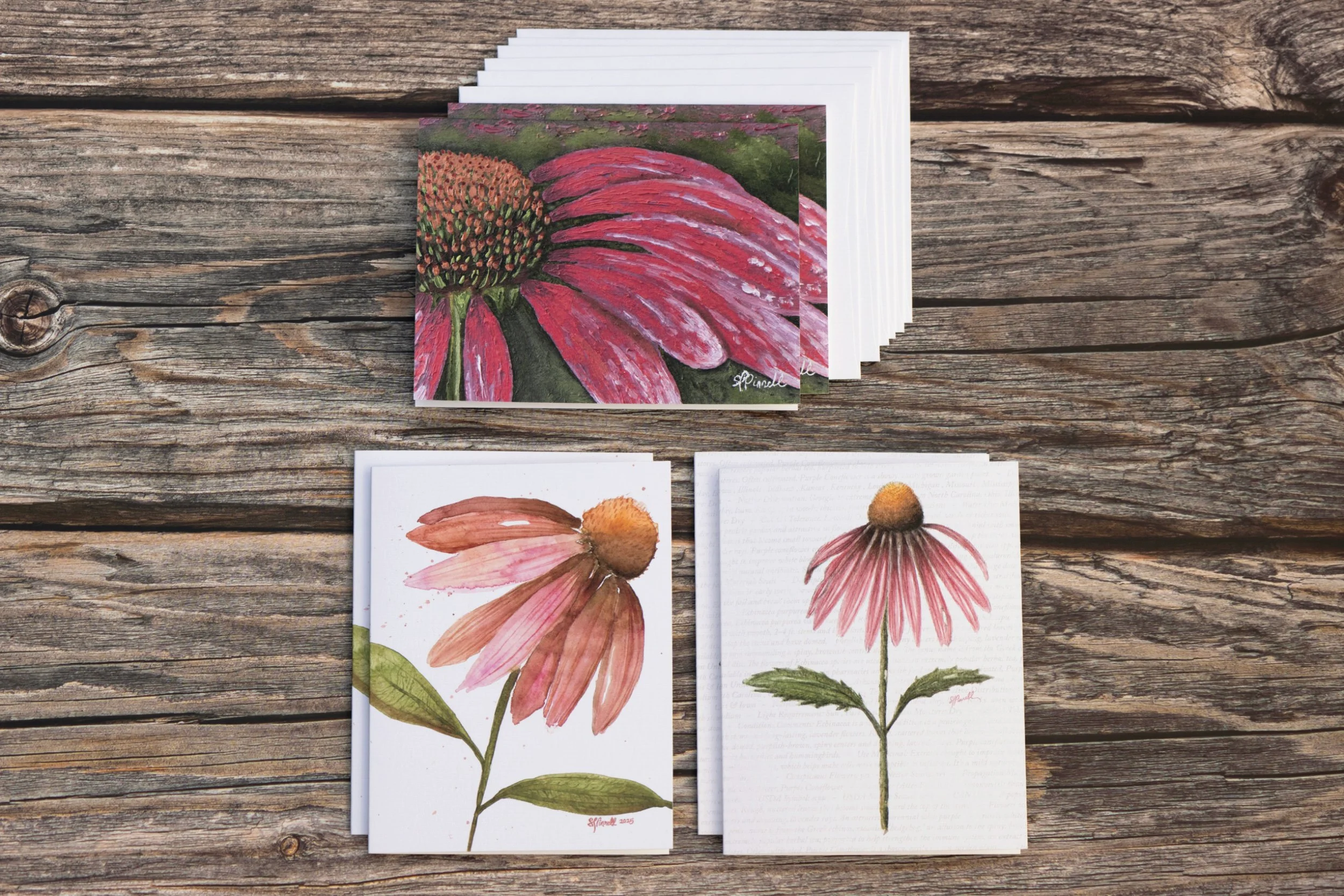 Coneflower Variety Pack - Greeting Cards Notecard Set - 4.25"x5.5"