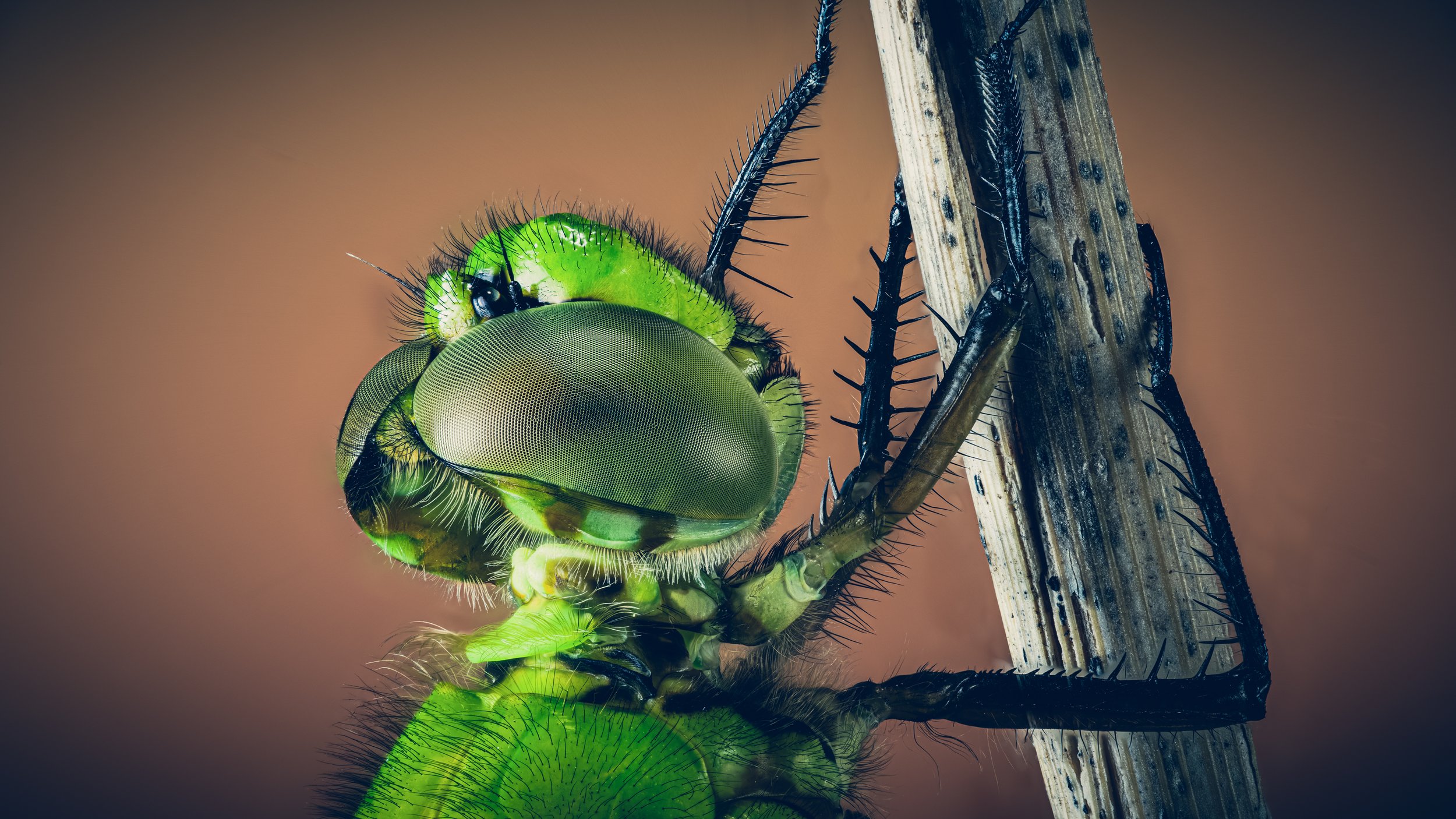 2025-06-27 09-55-02 (B,R7,S1) copy 2.jpg