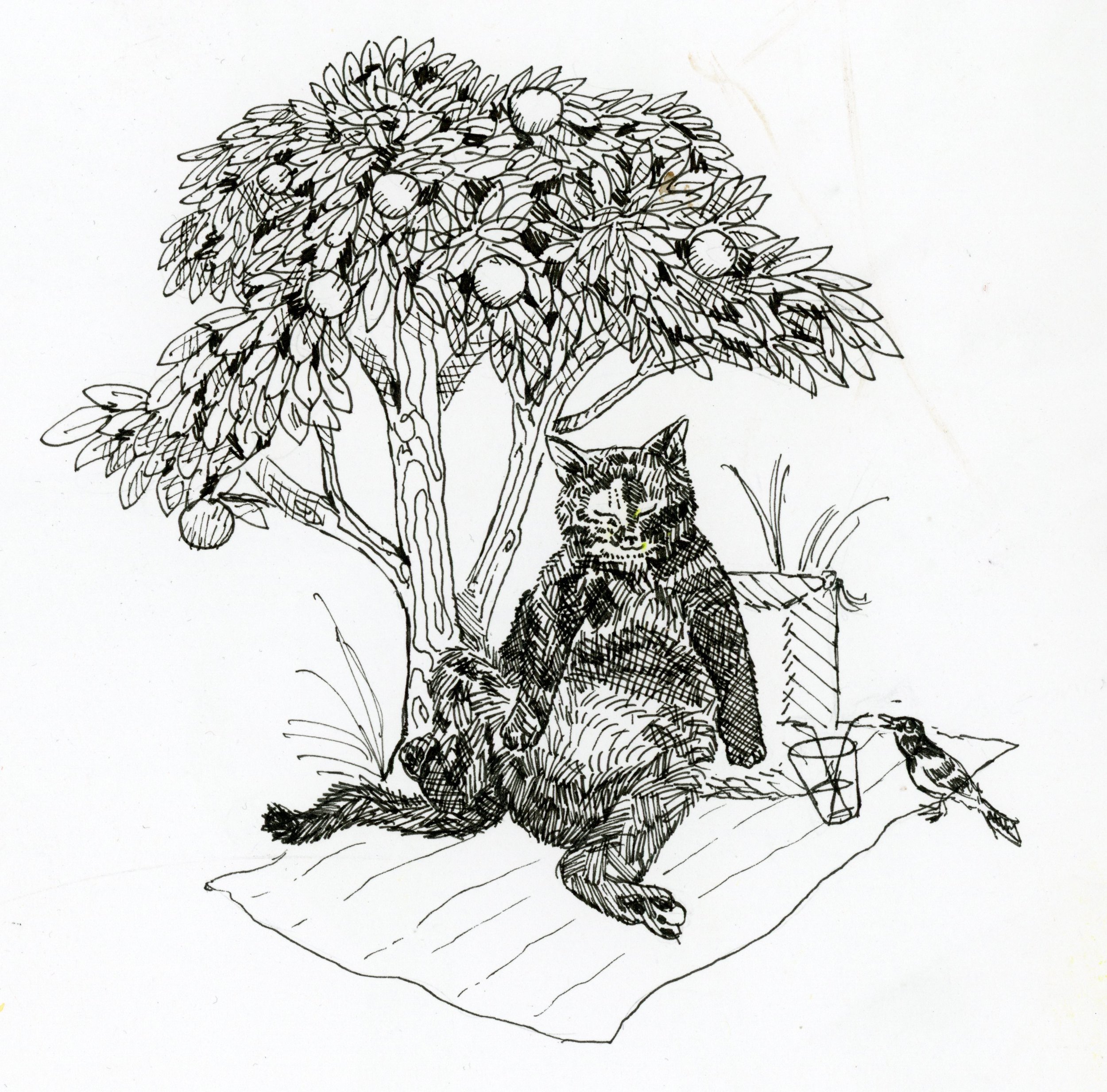 Fine-line ink sketch of a cat sitting under a tree.
