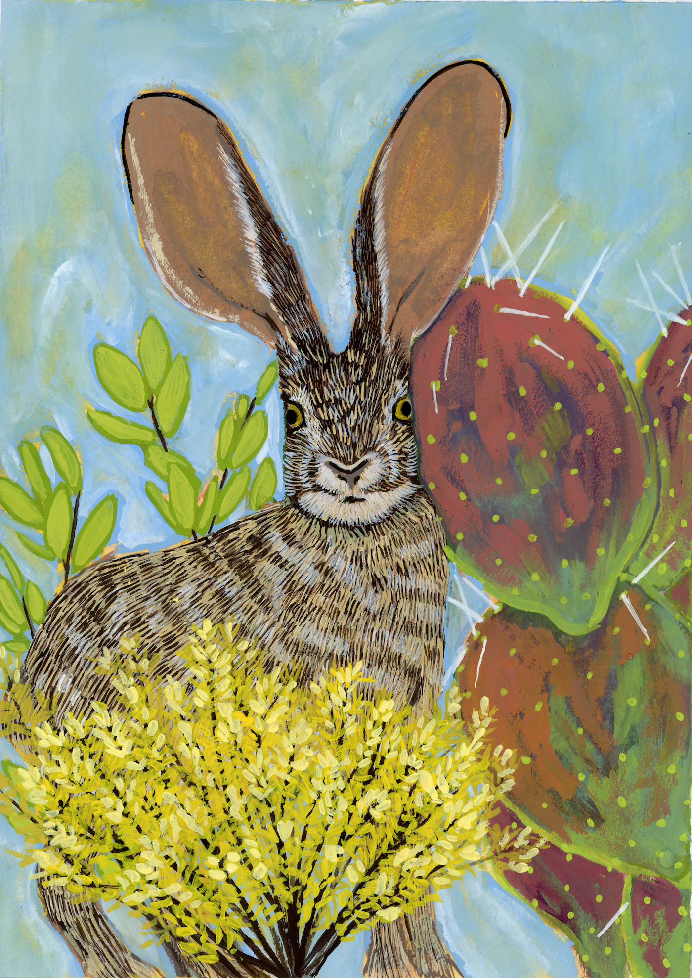 A Black-Tailed Jackrabbit sitting with a cactus and some desert scrub plants.