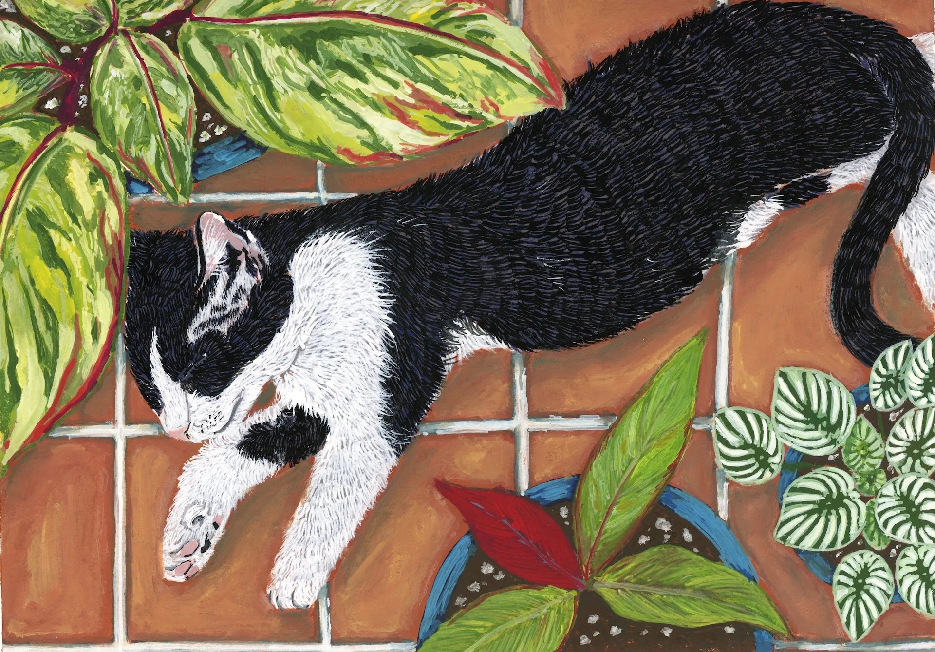 A tuxedo cat laying on a red tile greenhouse for surrounded by plants.