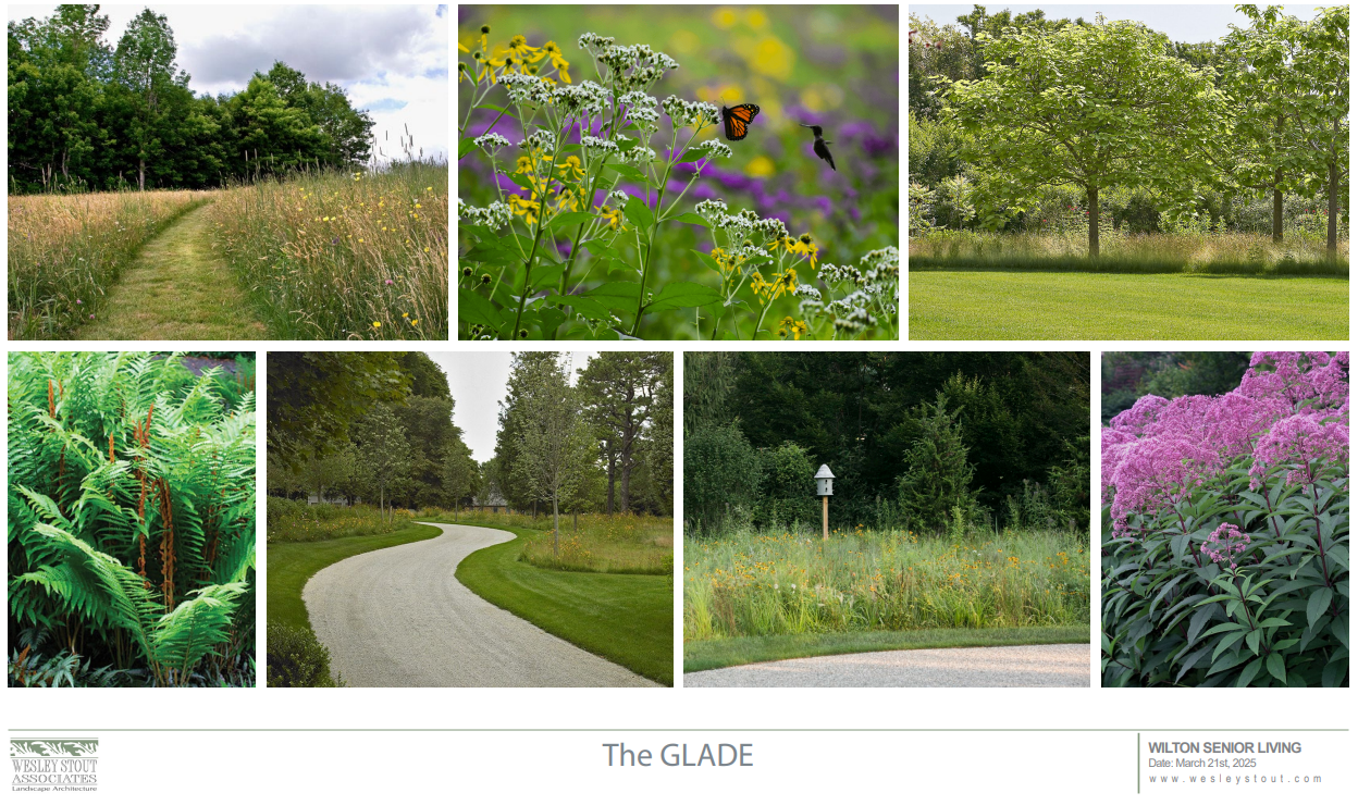 "THE GLADE"
Source: P&Z Pre-application, Plans-05.02.2025, page 16