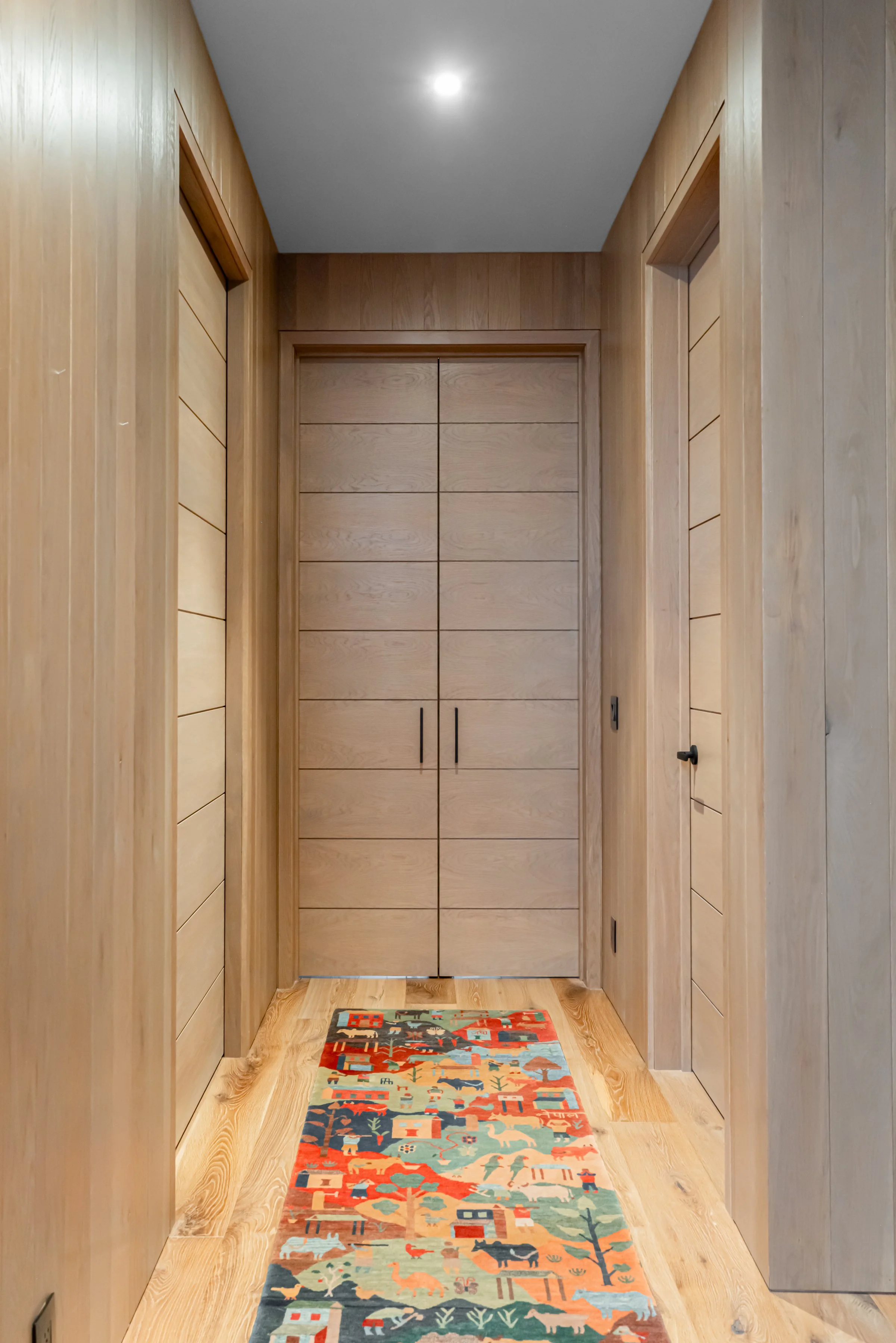 Wood-paneled hallway with a colorful animal-themed rug, leading to a closed closet door.