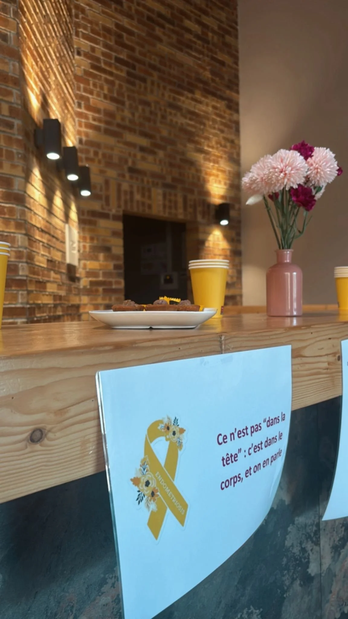 Réunion Publique Du 11 Juillet #02