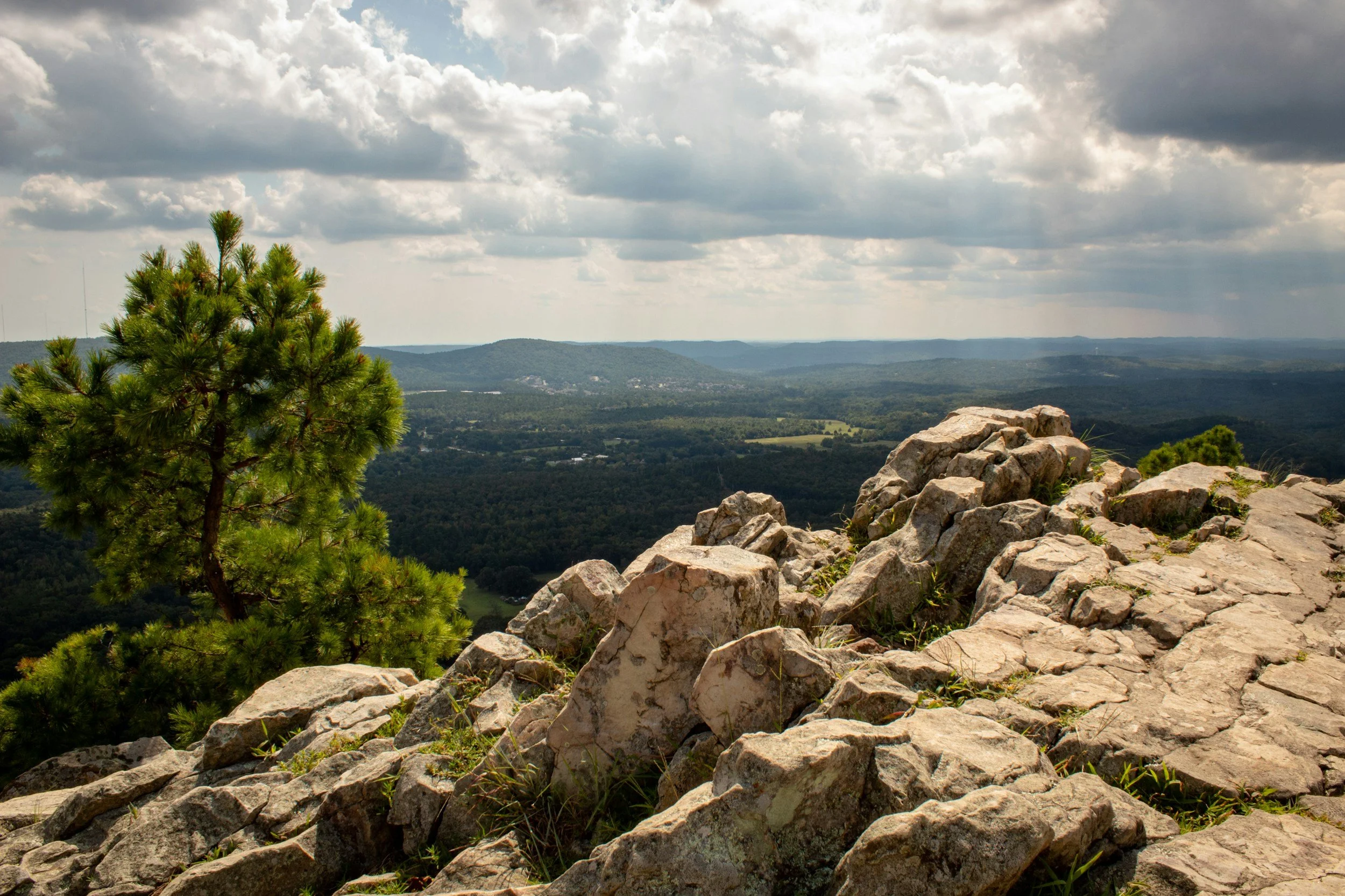 A scenic view from a rocky hill or cliff with a green pine tree in the foreground on the left, overlooking a vast landscape of forests and rolling hills under a cloudy sky.
