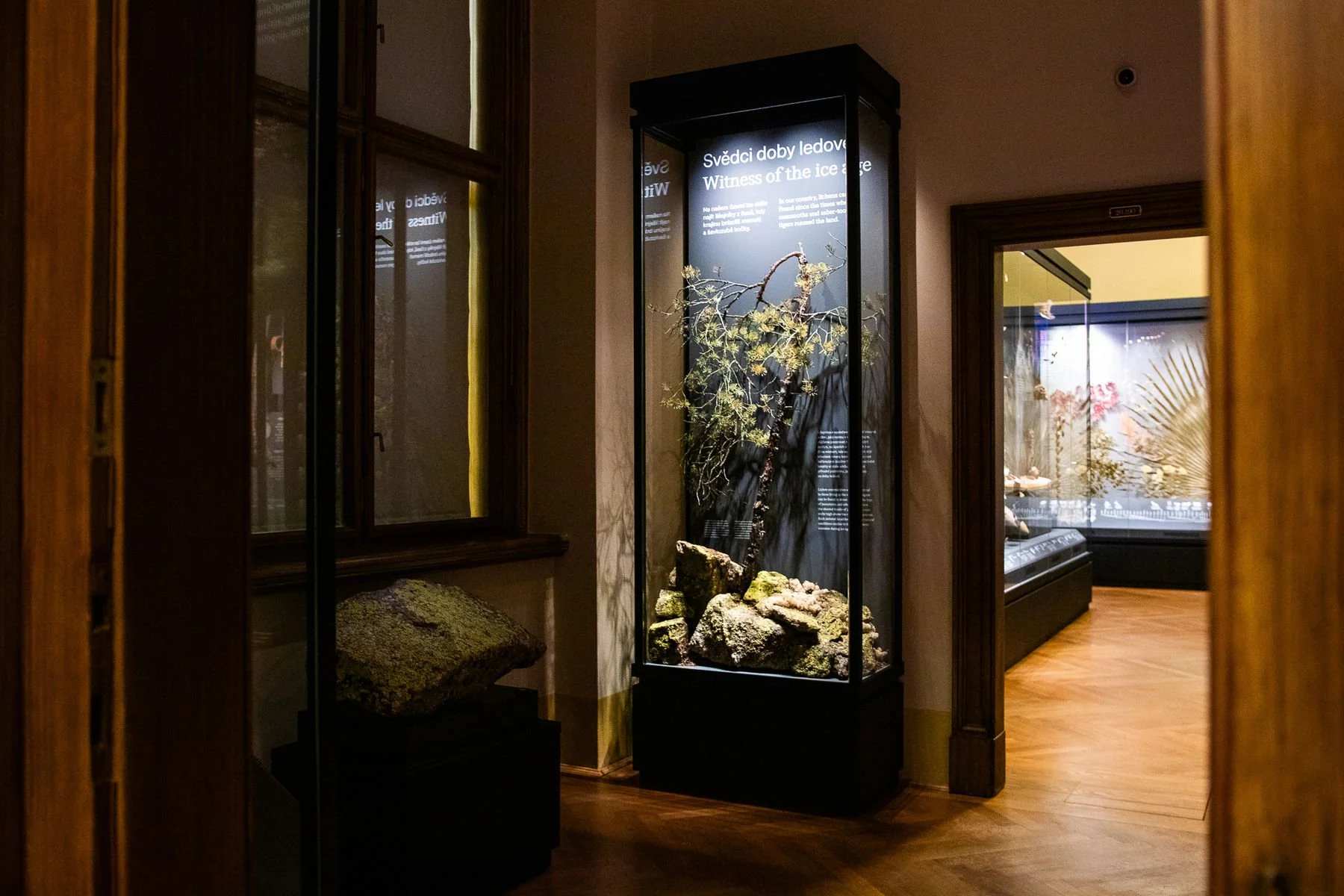 05_Svět hub, lišejníků a rostlin_©NM.jpg