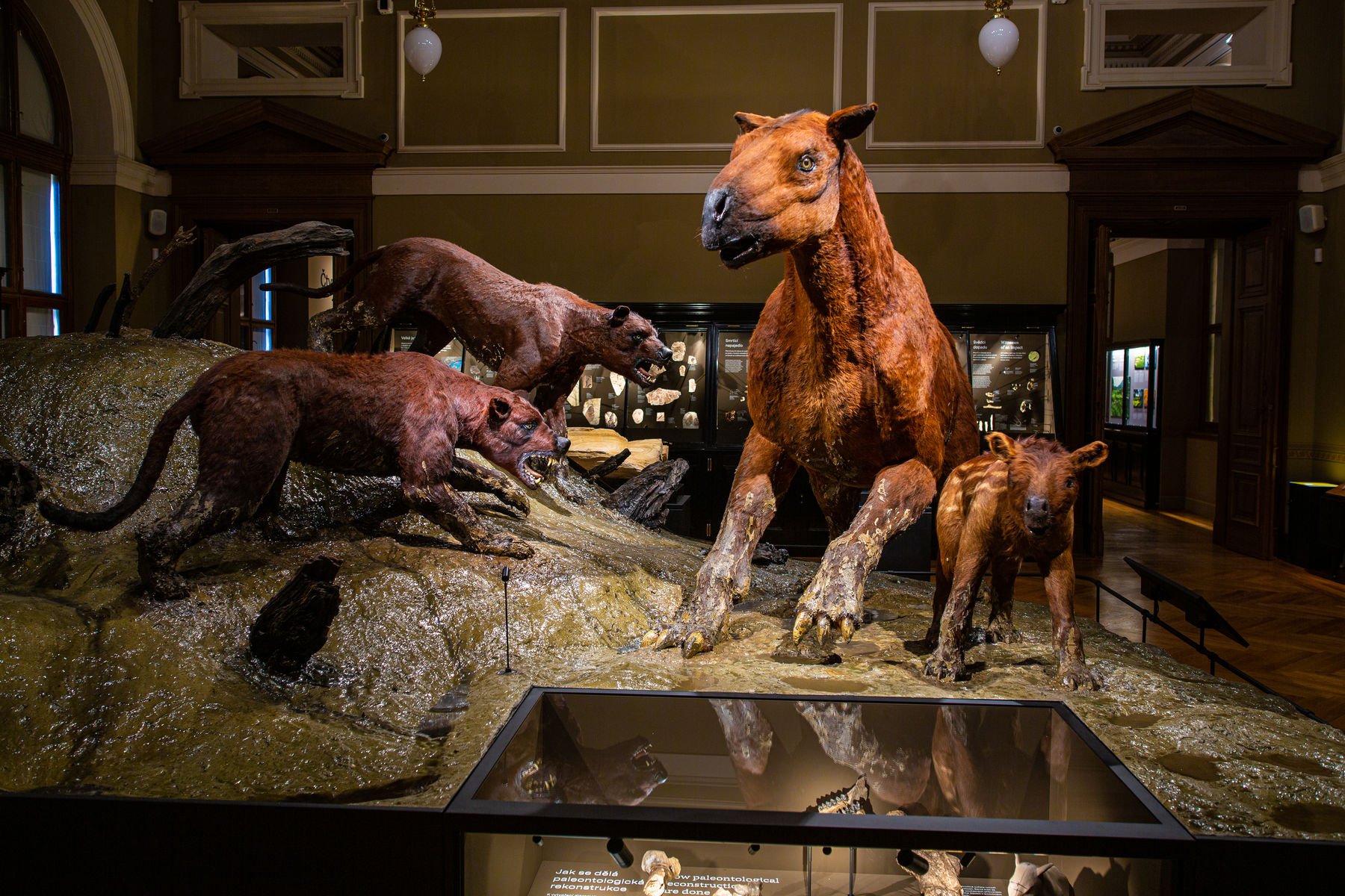 NM Příroda_Okna do pravěku05_©NM.jpg