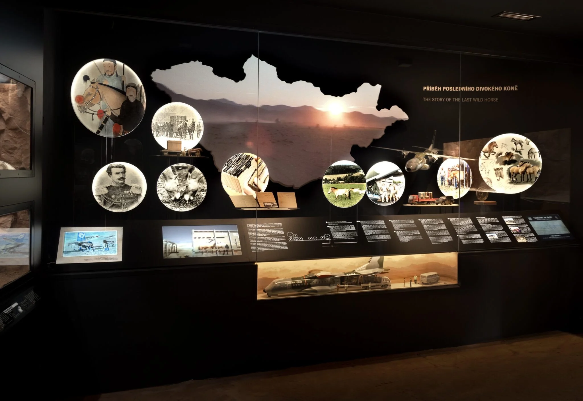 02 Pavilon Gobi.jpeg