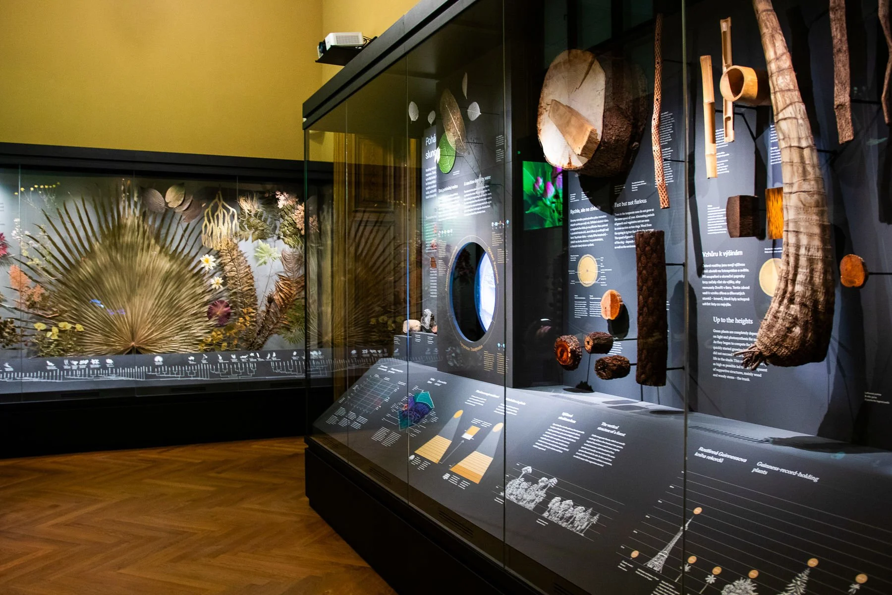 02_Svět hub, lišejníků a rostlin_©NM.jpg