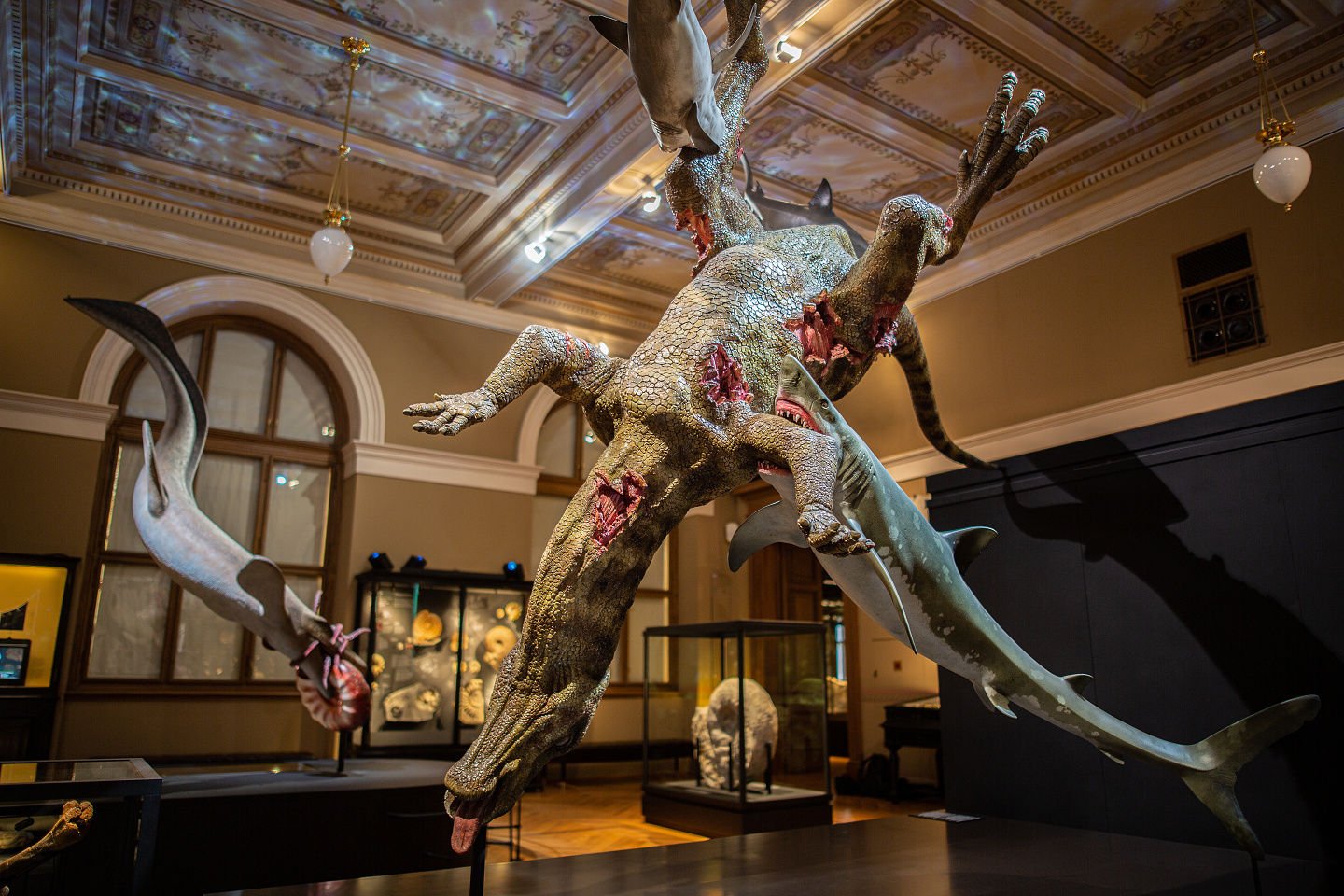 NM Příroda_Okna do pravěku07_©NM.jpg