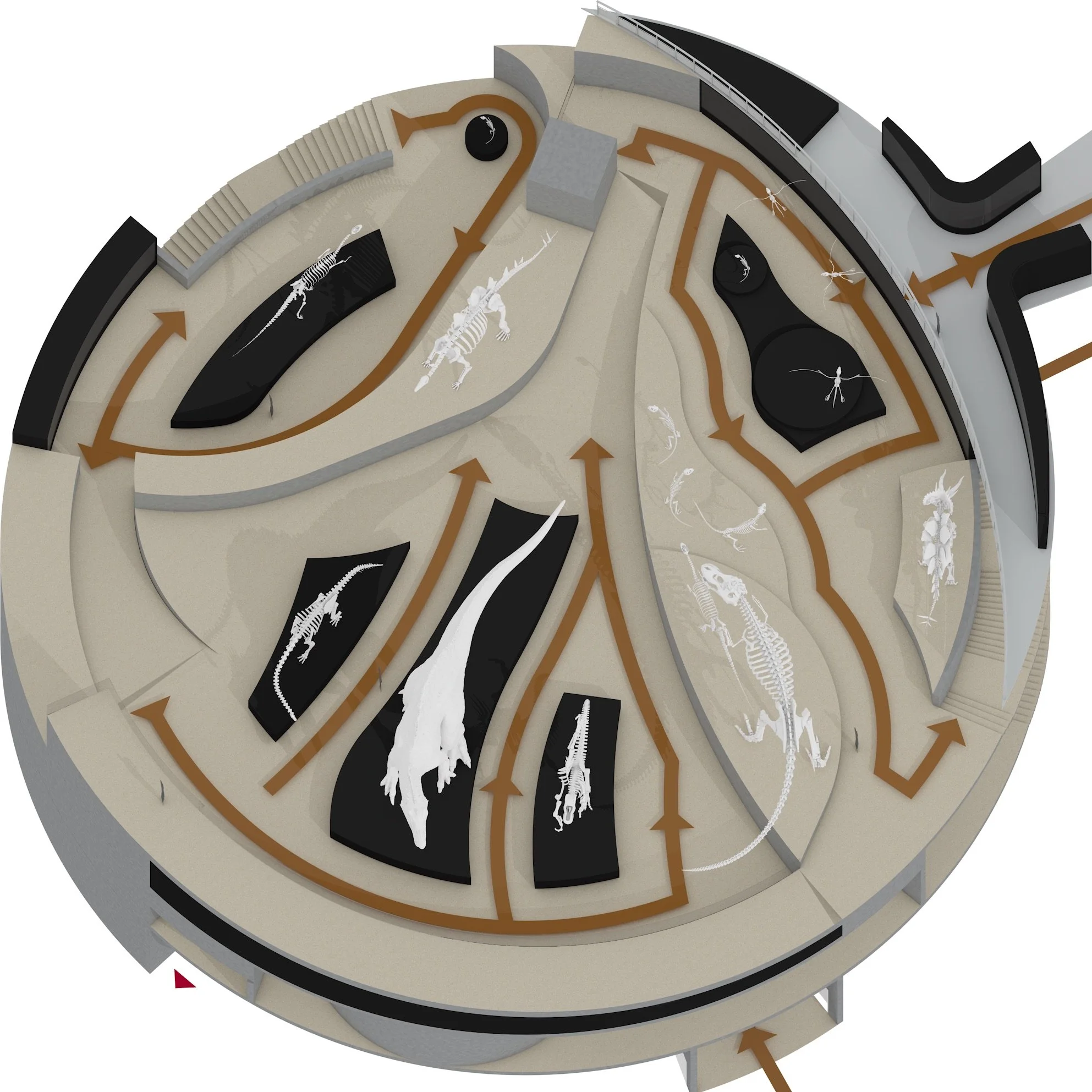 17 CIRCULATION 3L.jpeg