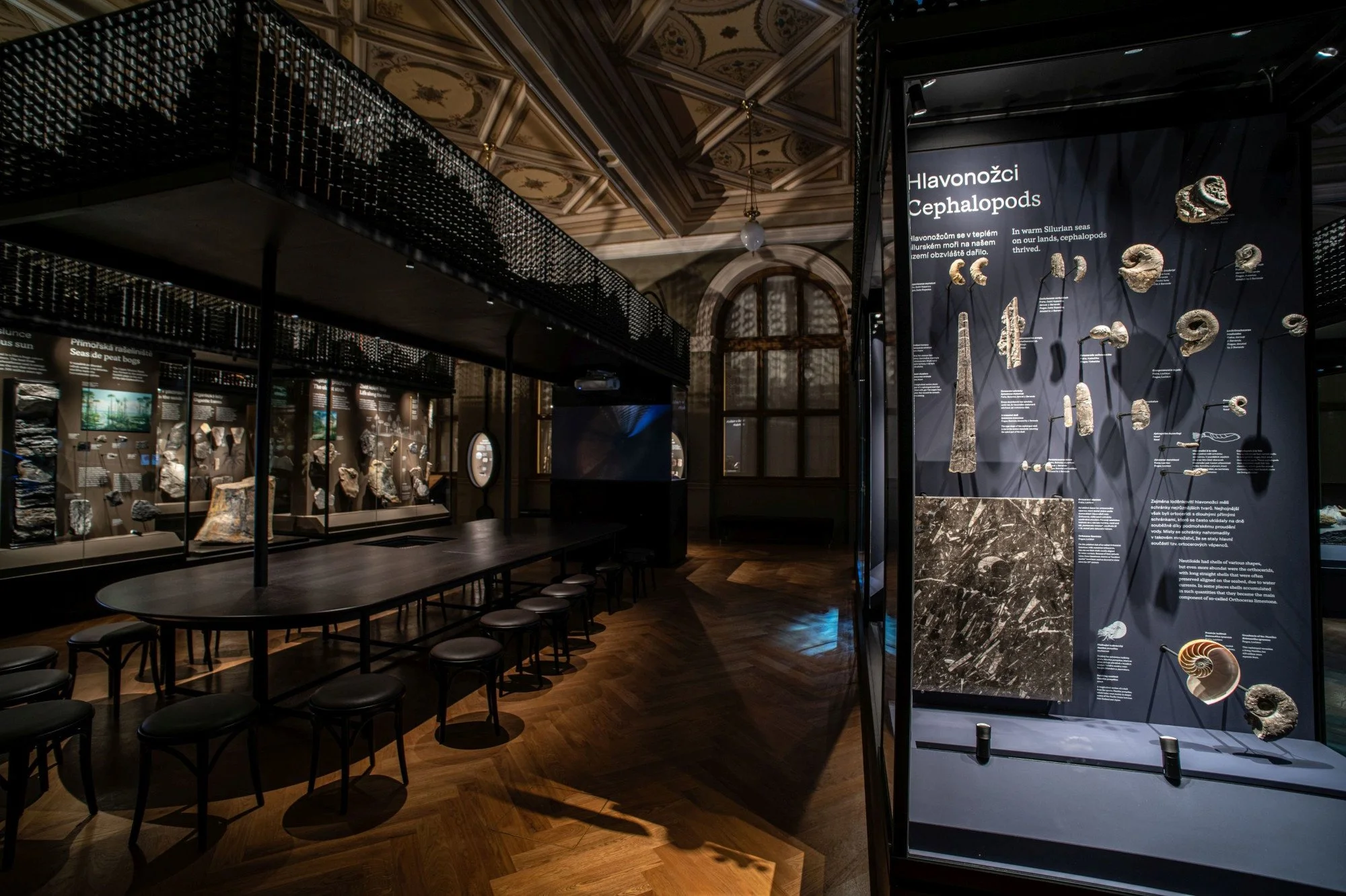 NM Příroda_Okna do pravěku15_©NM.jpg