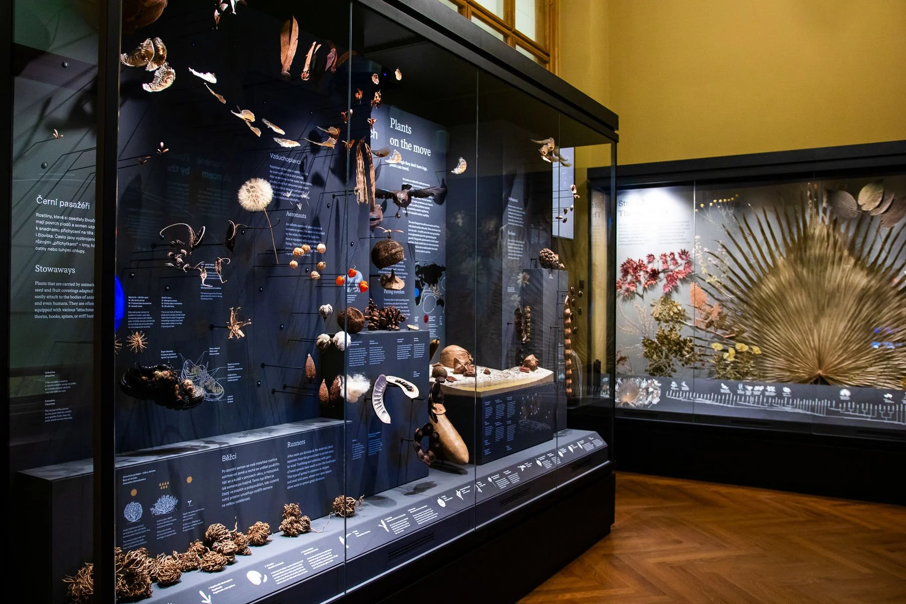 01_Svět hub, lišejníků a rostlin_©NM.jpg